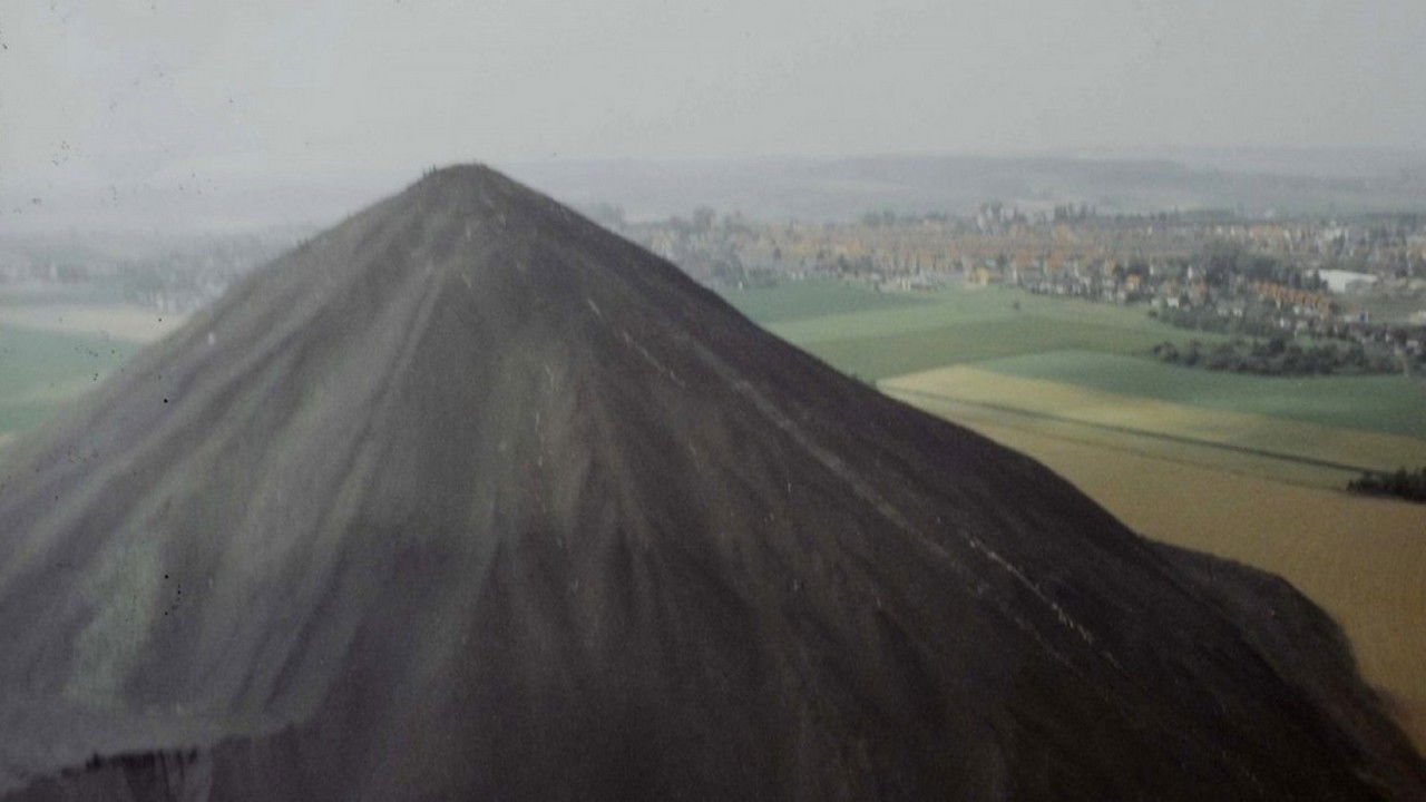 Backdrop for La Cabale des oursins