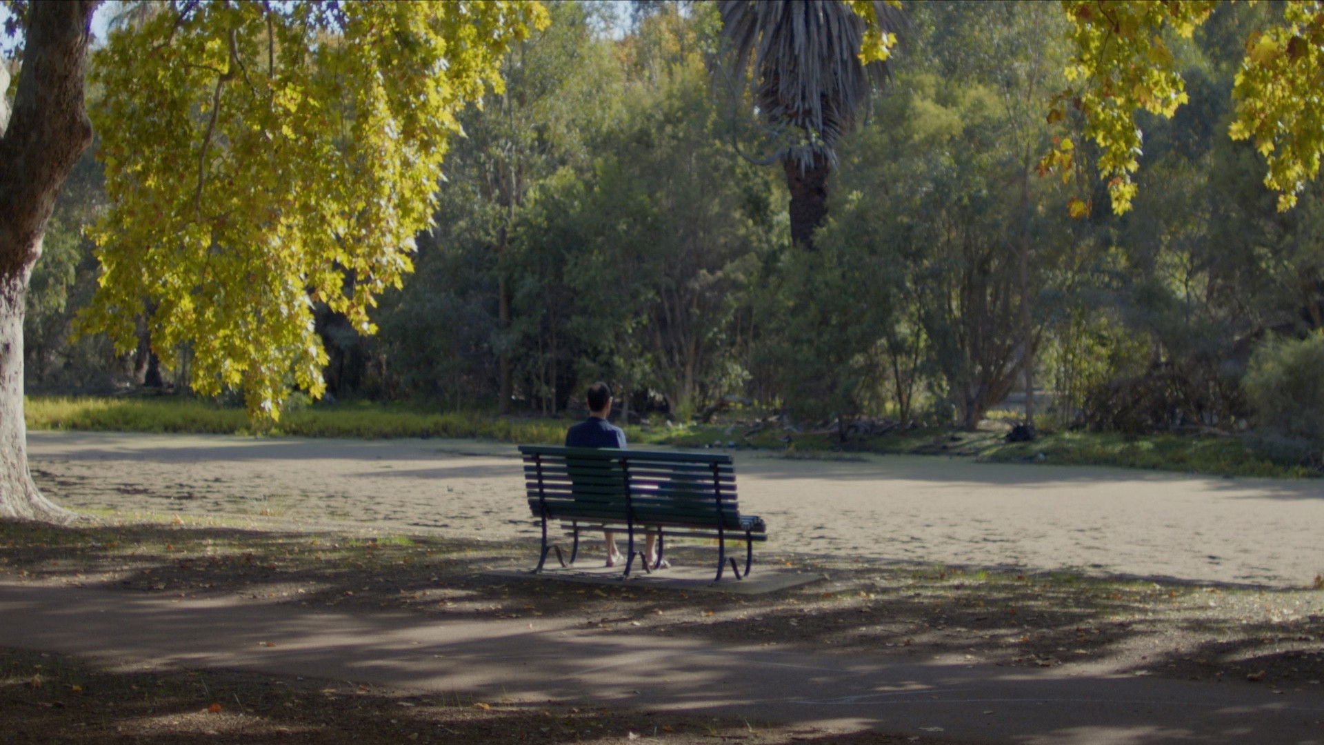 Backdrop for What We Do For Family