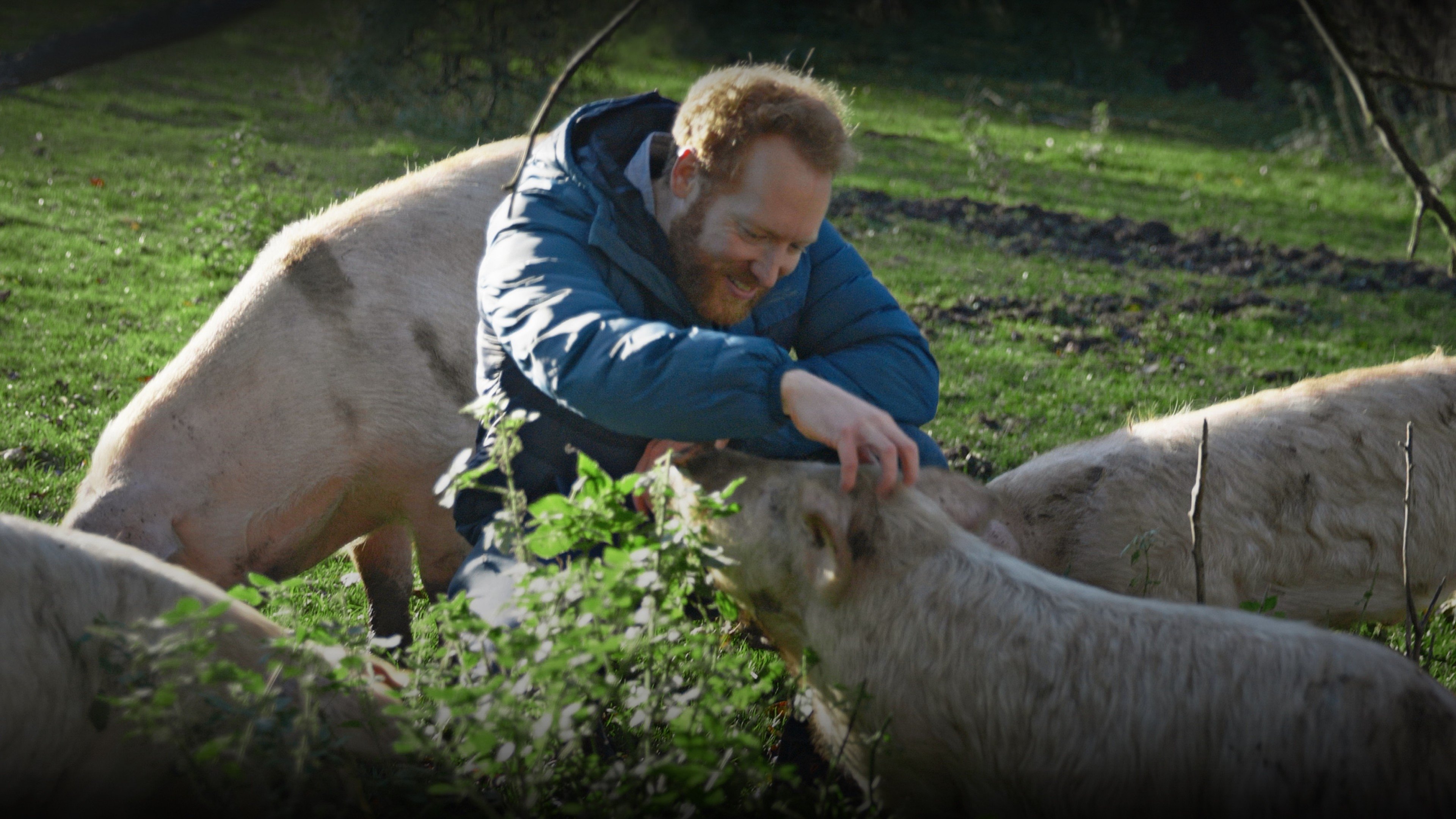Backdrop for I Could Never Go Vegan