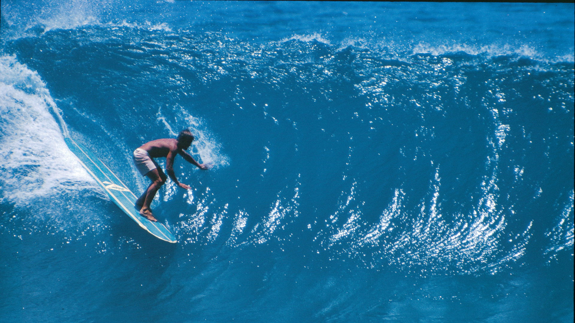 Backdrop for Five Summer Stories