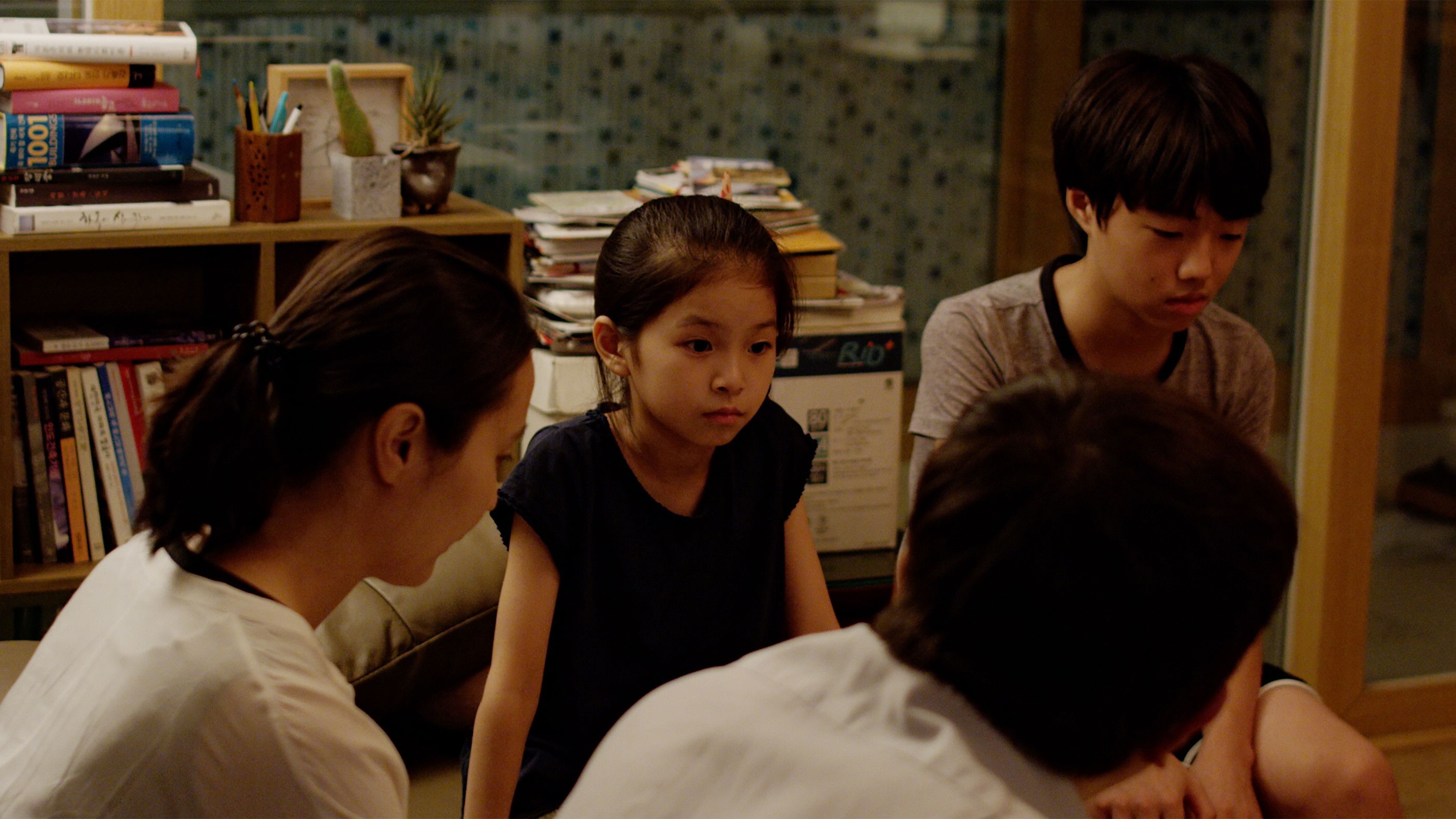 Backdrop for Scattered Night