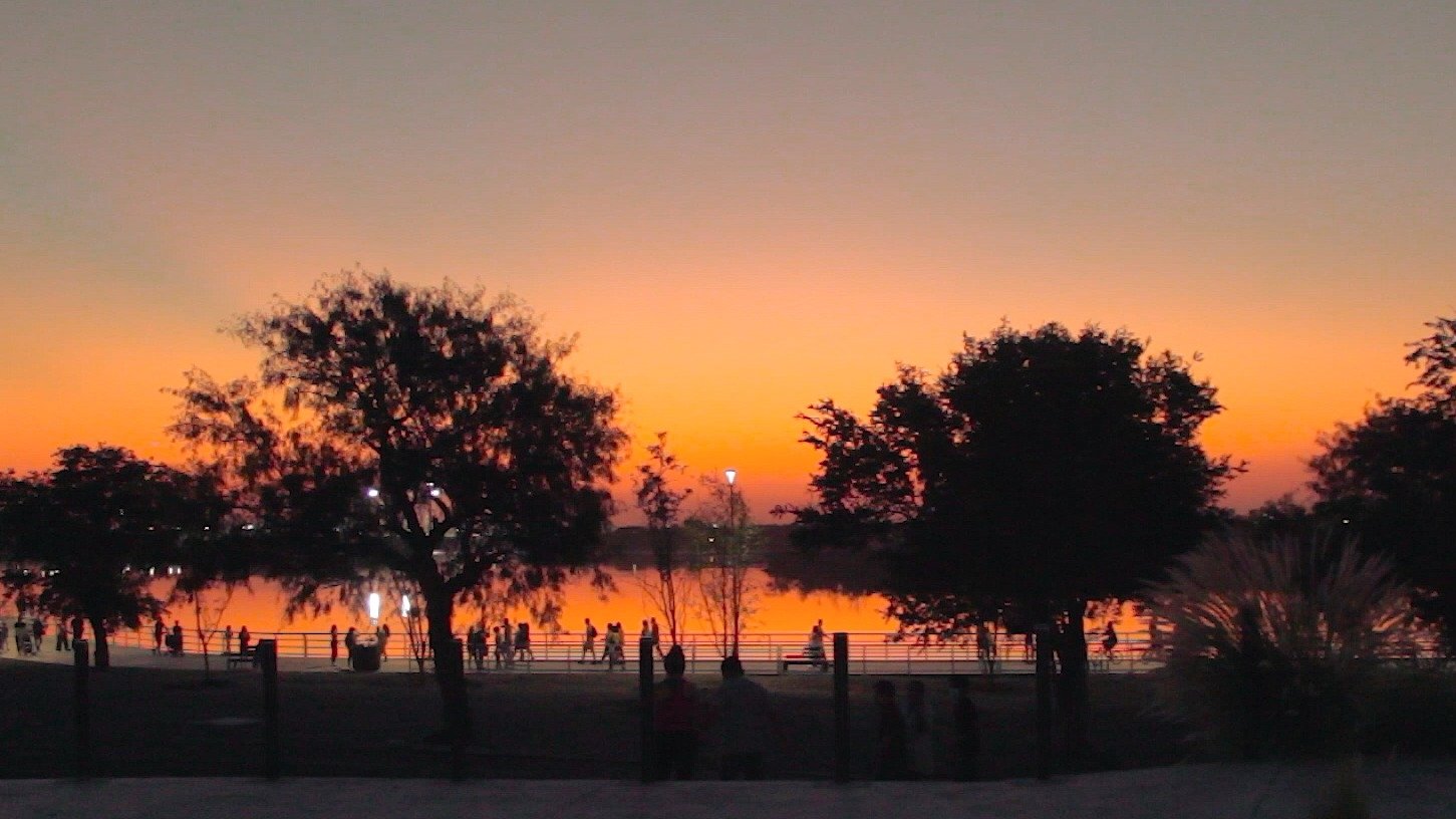 Backdrop for Epitome of Dis/love