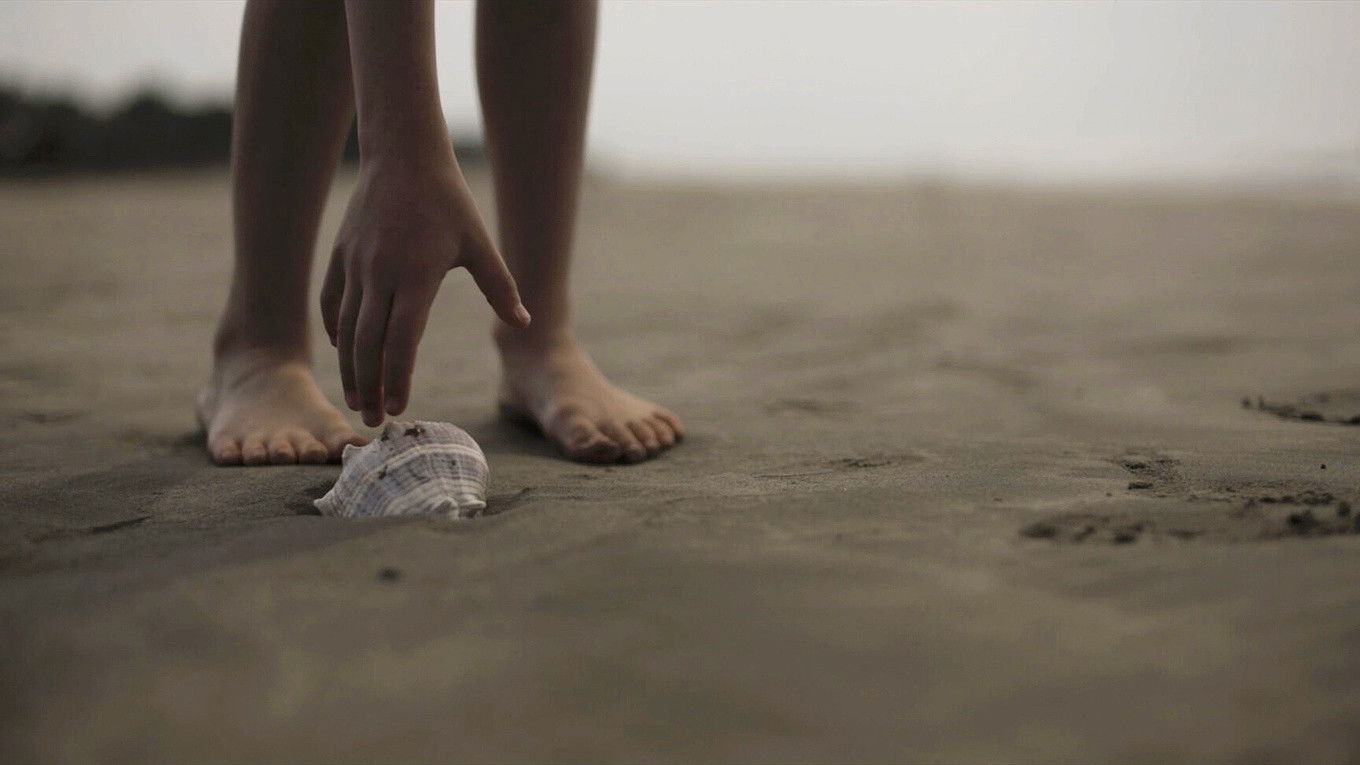 Backdrop for Atardeceres