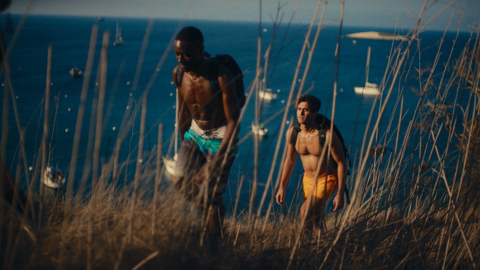 Backdrop for Catalina