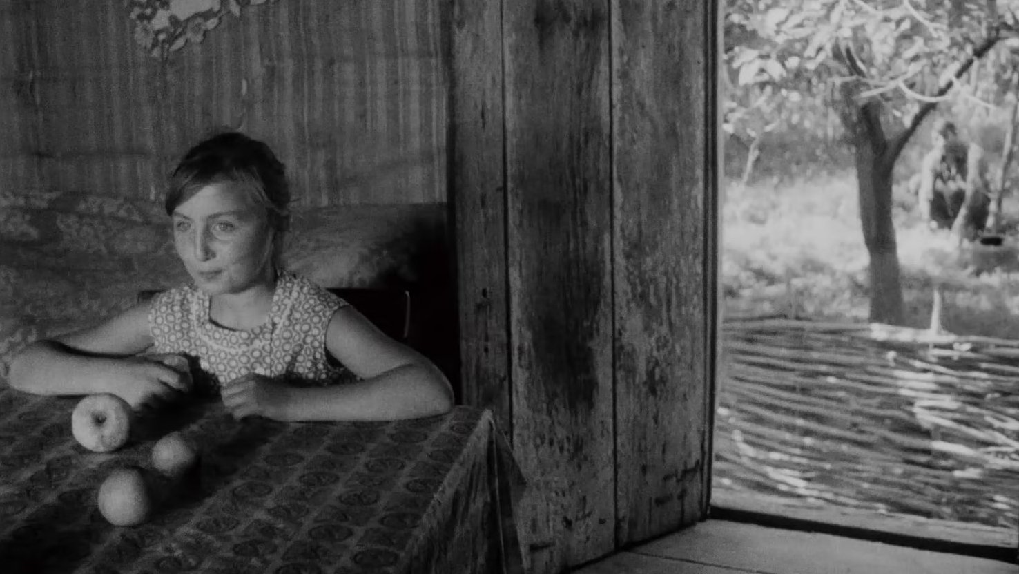 Backdrop for Georgian Ancient Songs