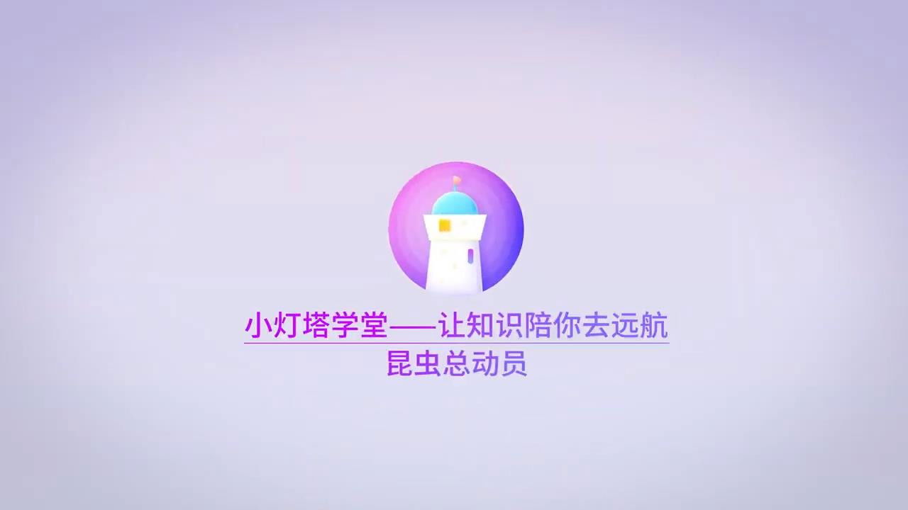 Backdrop for 昆虫世界儿童动画