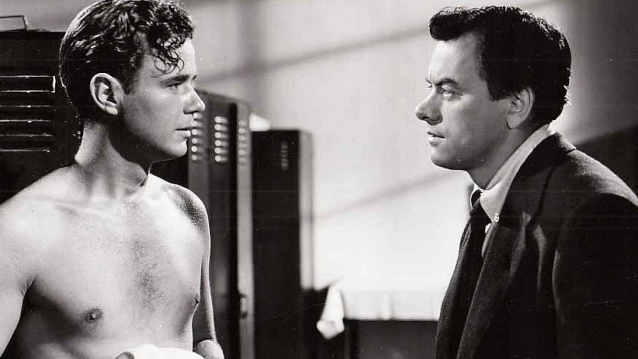 Backdrop for The Basketball Fix