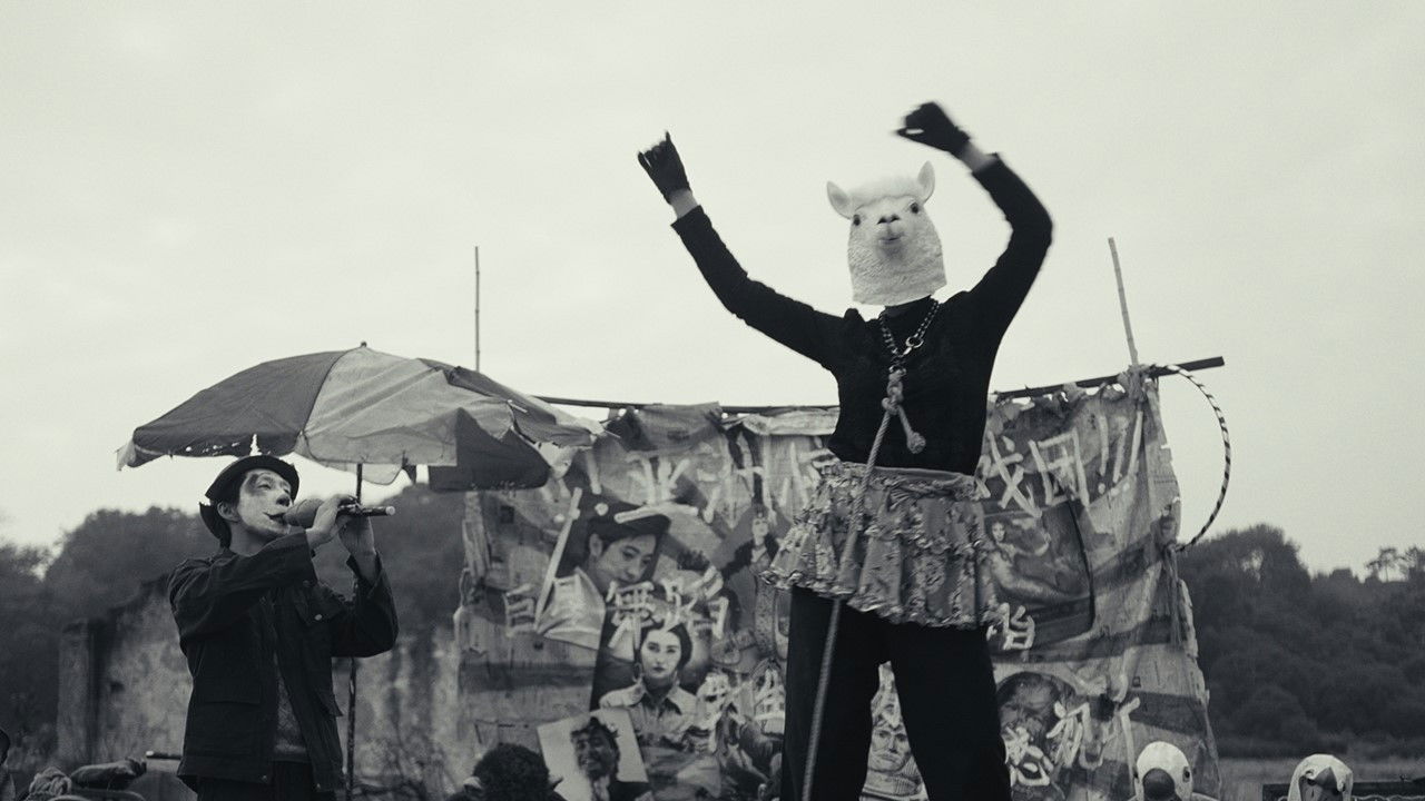 Backdrop for Circus at Dusk