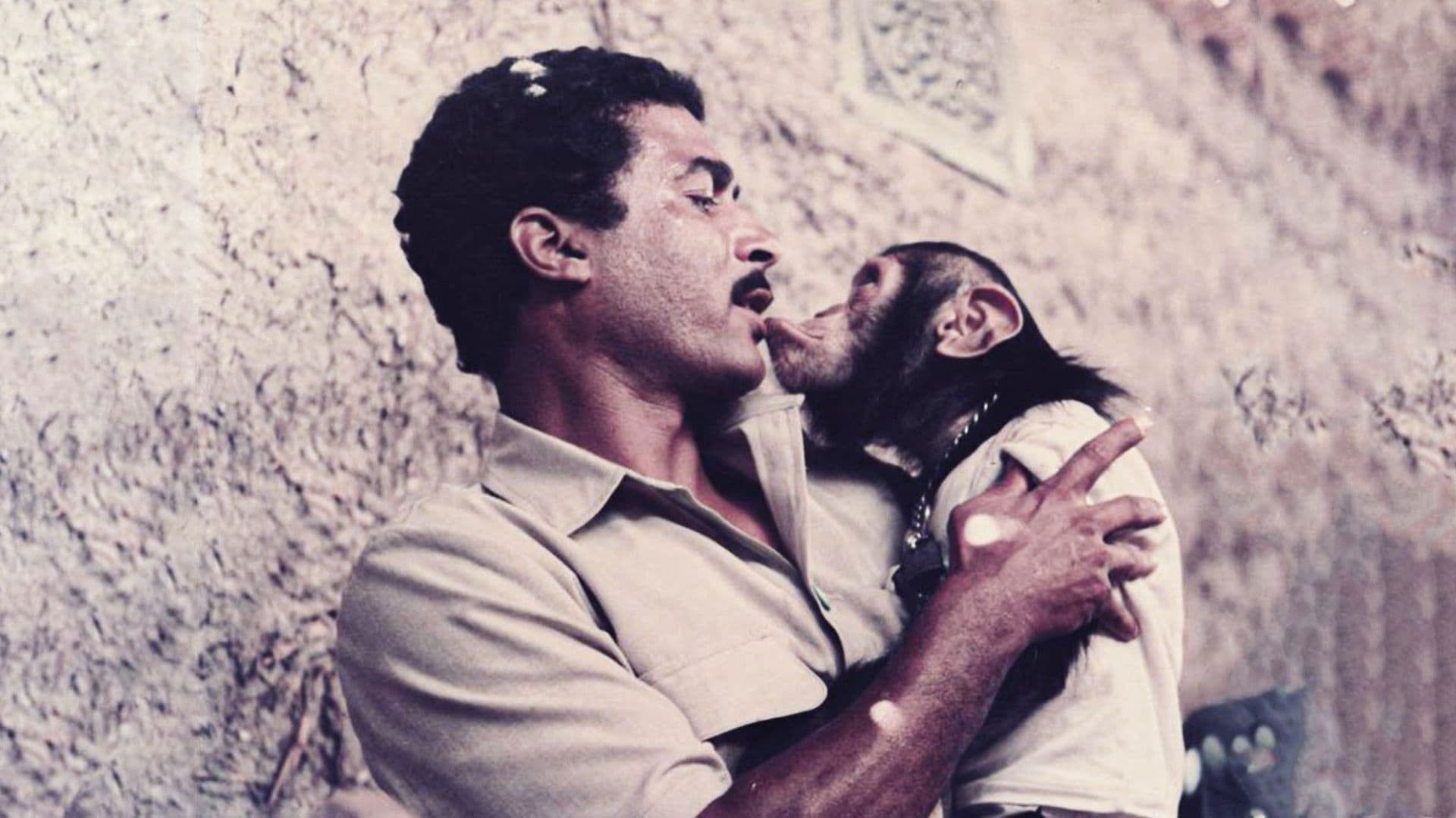 Backdrop for Four On An Official Mission