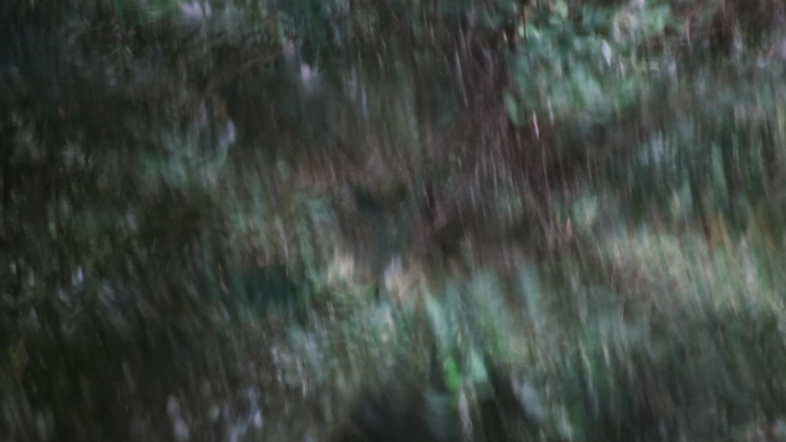 Backdrop for Weapon of Light