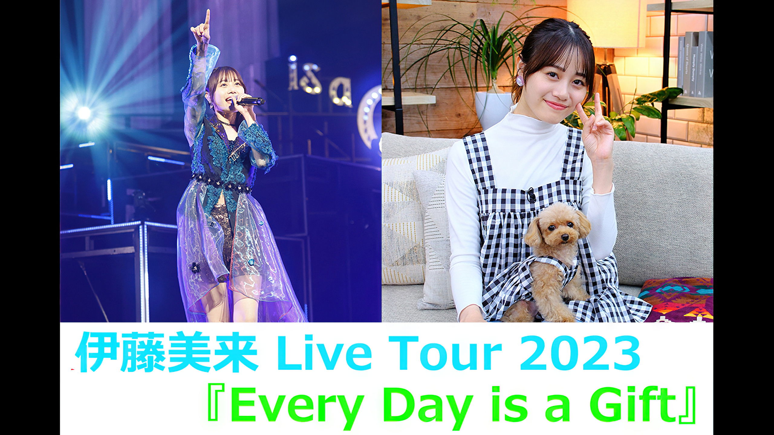 Backdrop for 伊藤美来 Live Tour 2023「Every Day is a Gift」
