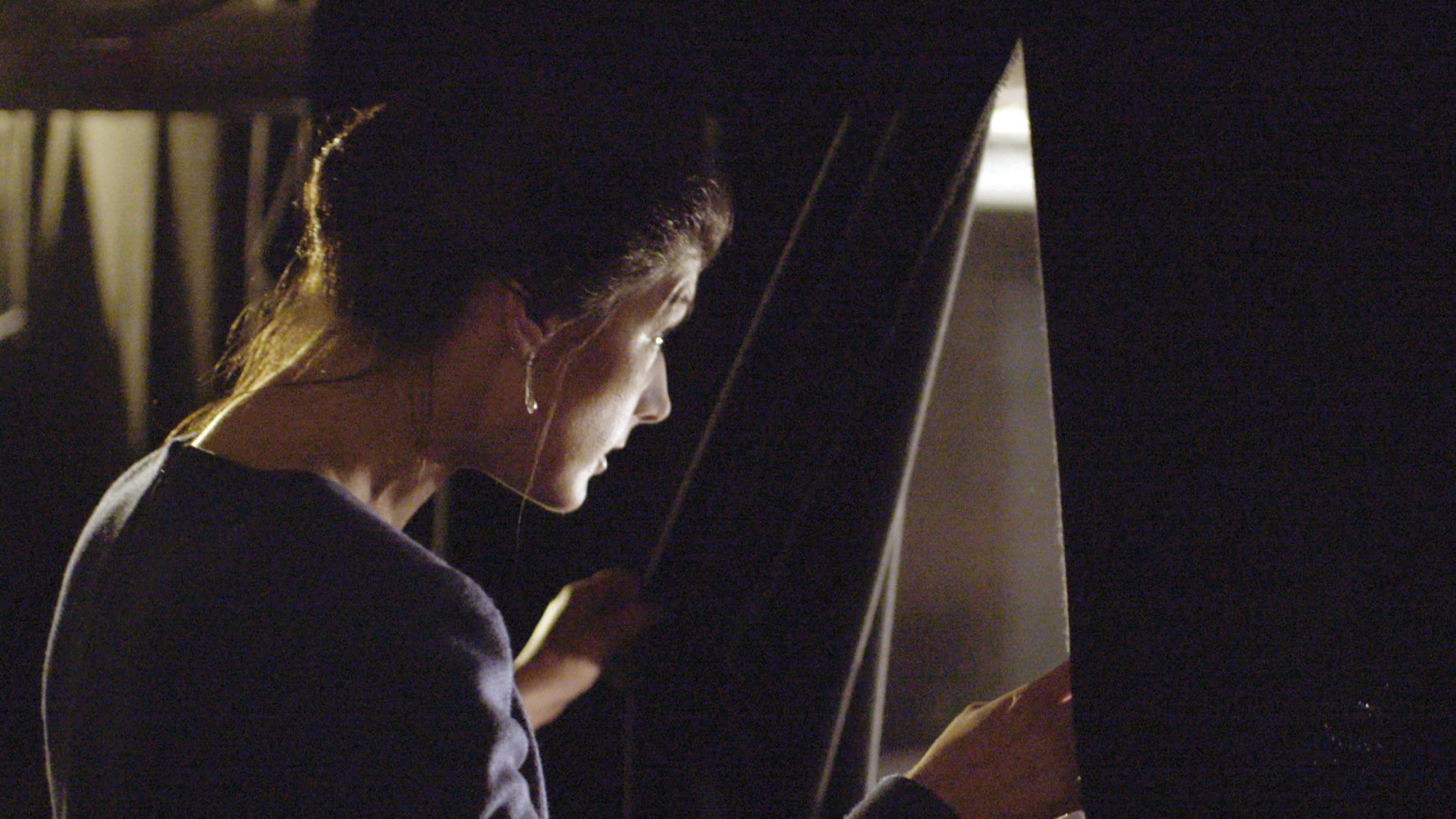 Backdrop for Wagenknecht