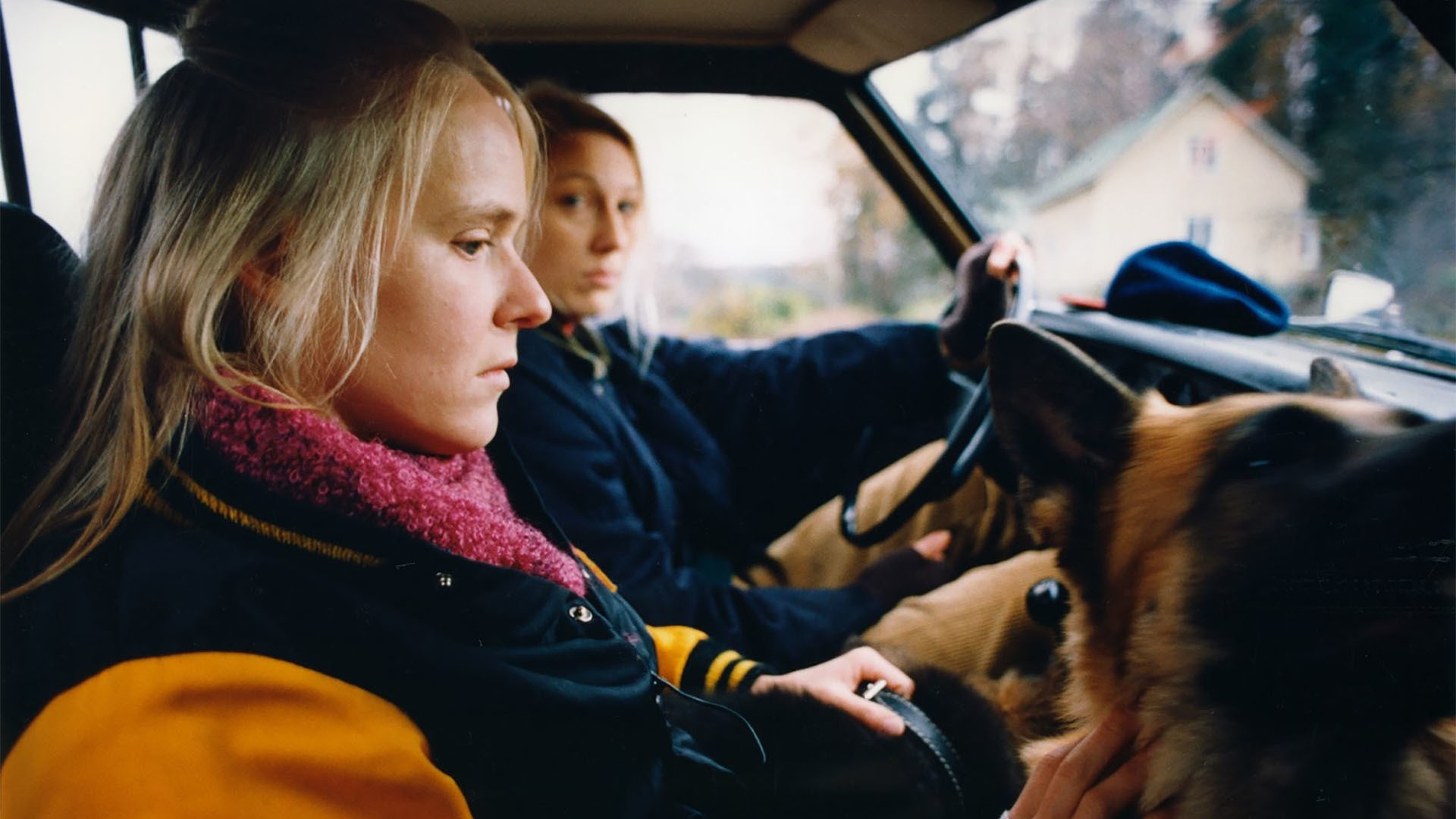 Backdrop for The Collector