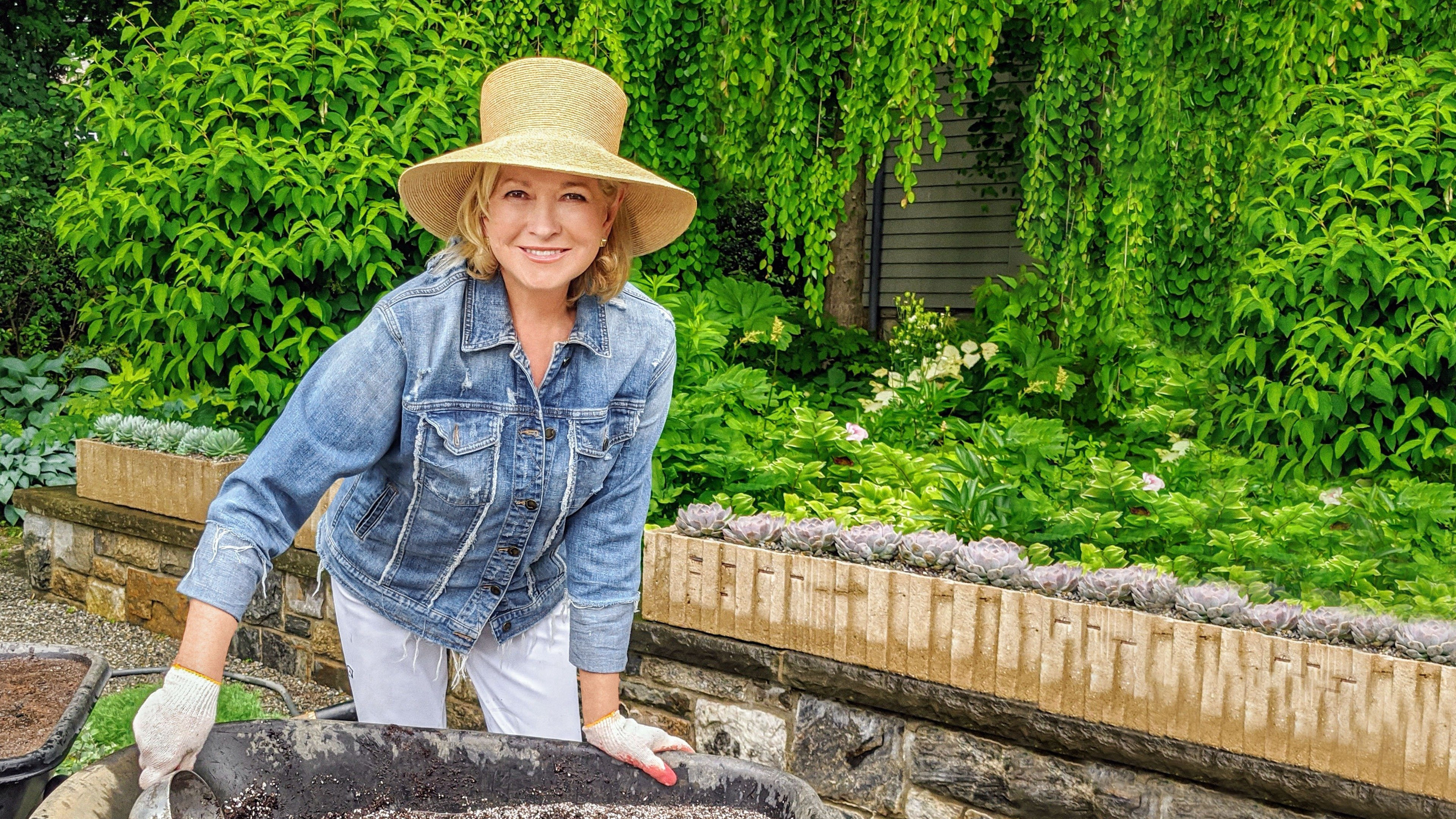 Backdrop for Martha Knows Best