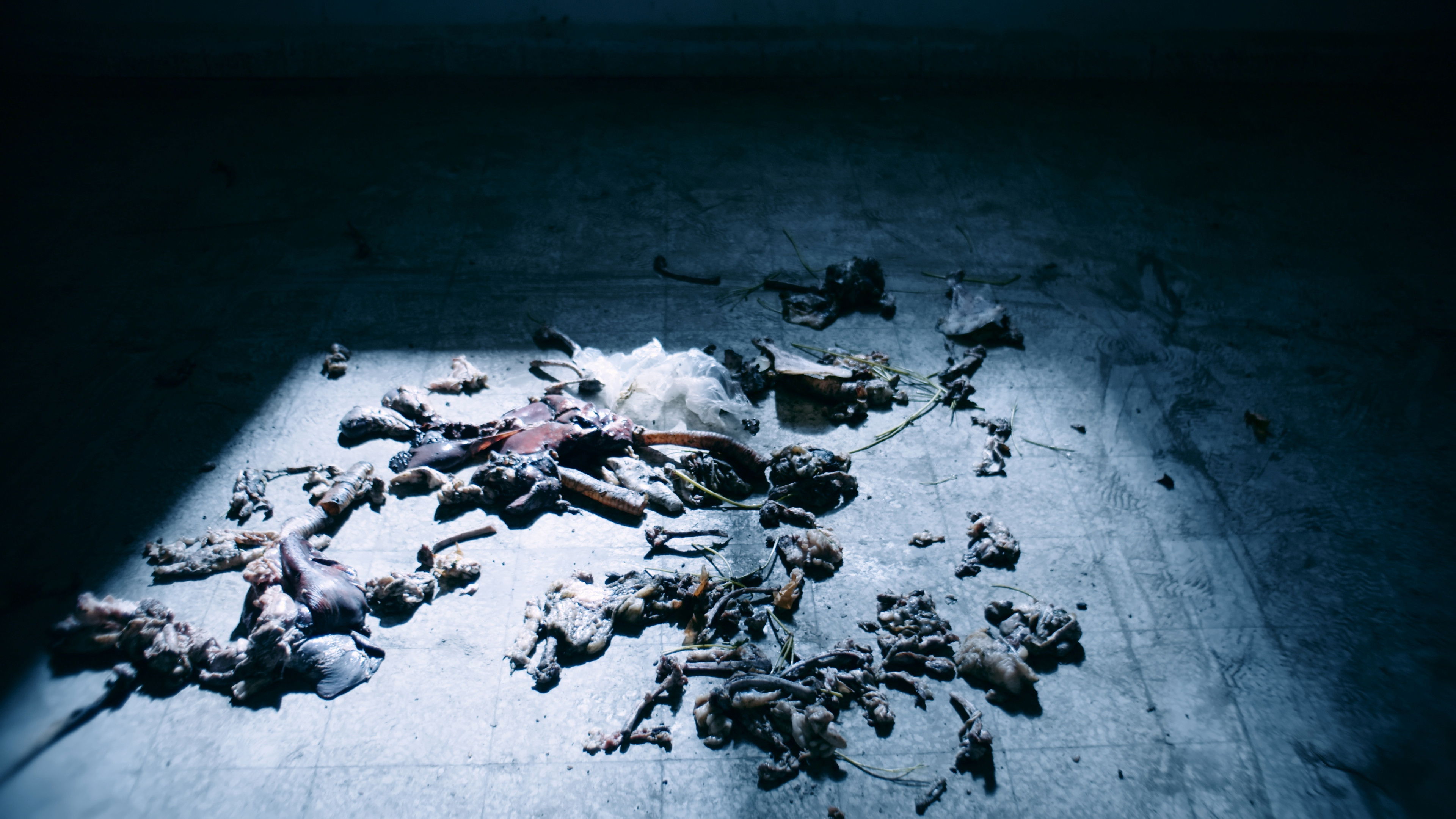 Backdrop for Nécrose