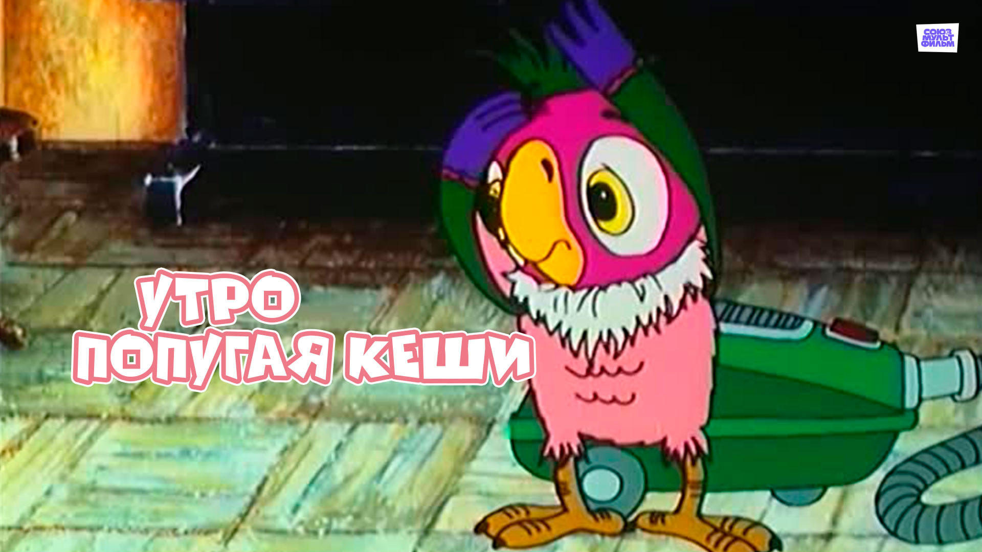 Backdrop for Dawn of Kesha the Parrot