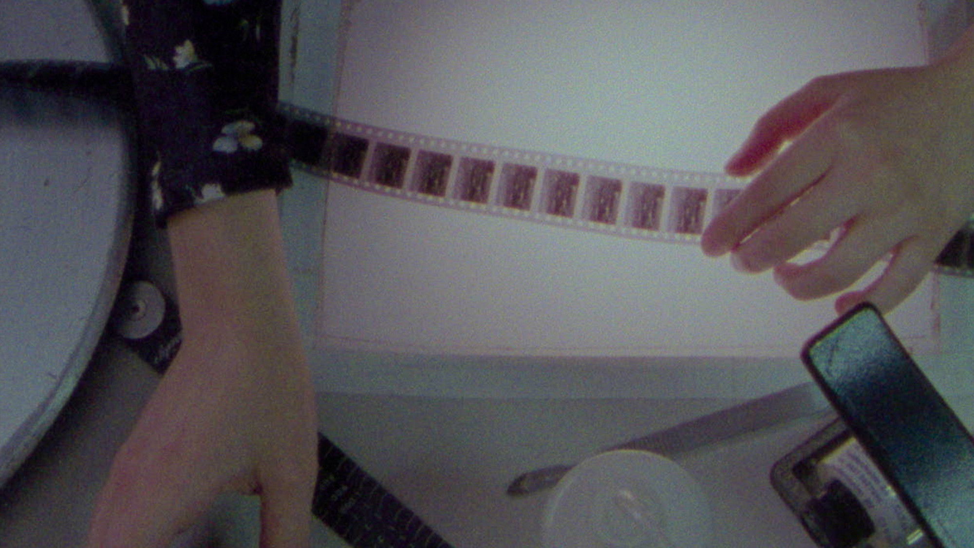 Backdrop for Herbaria