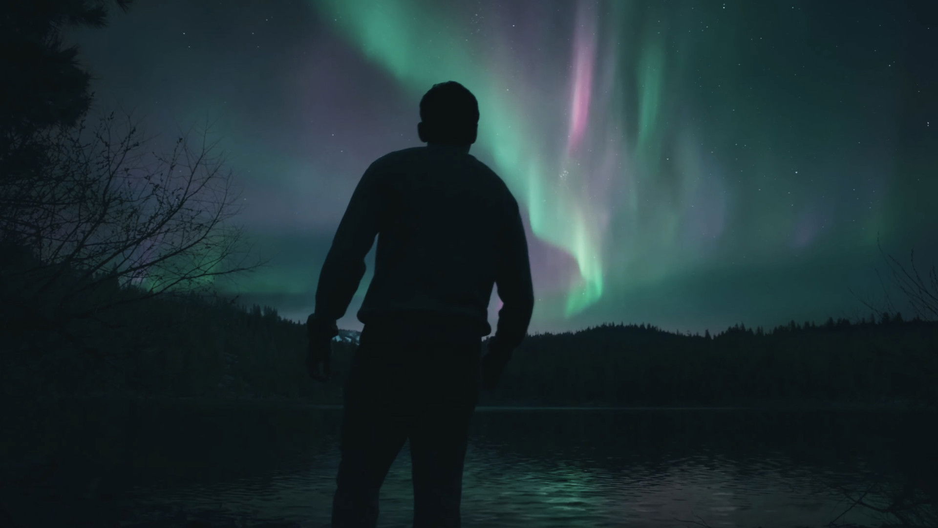 Backdrop for To the Mountains