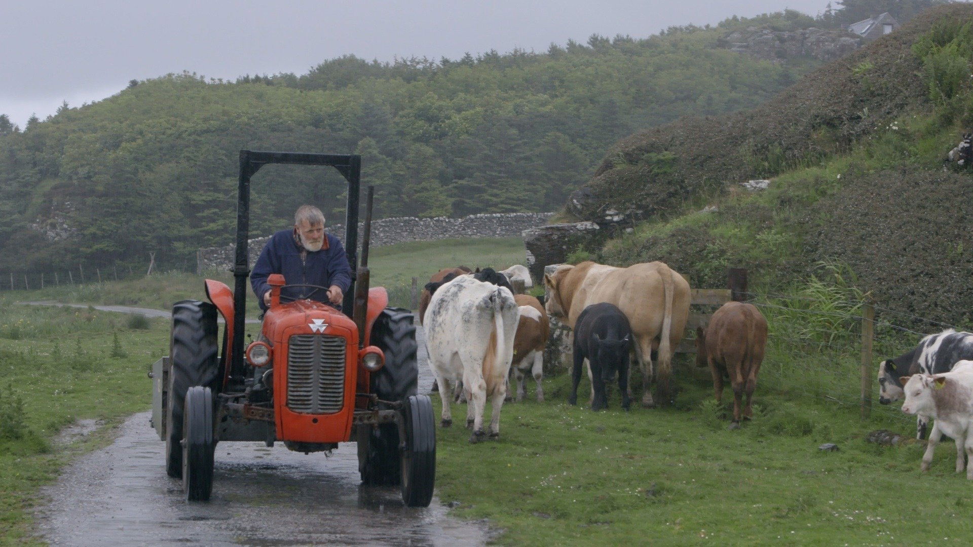 Backdrop for Prince of Muck
