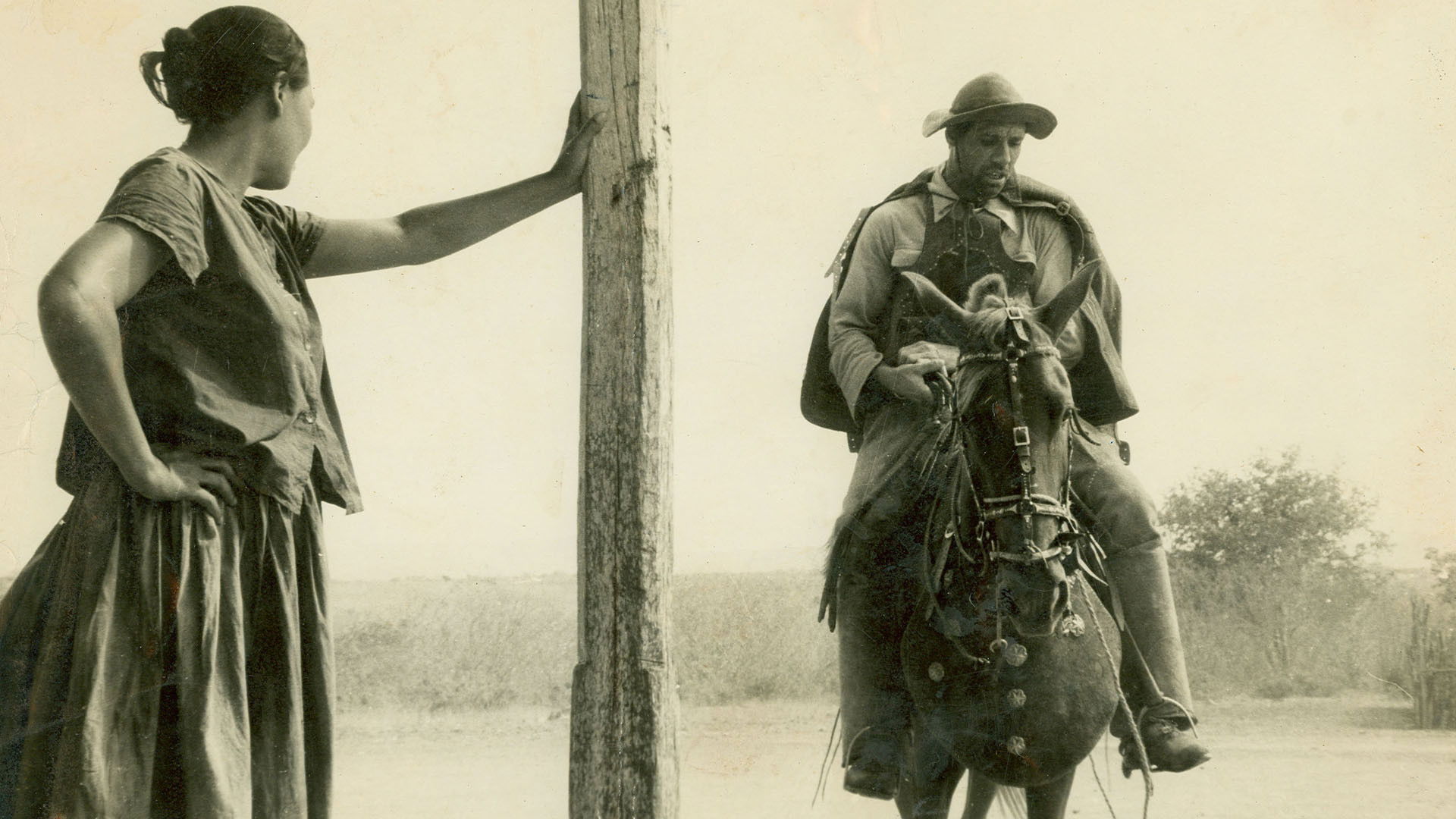 Backdrop for Barren Lives