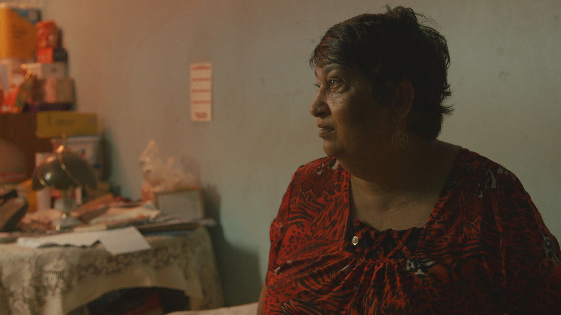 Backdrop for This House Is Not A Home