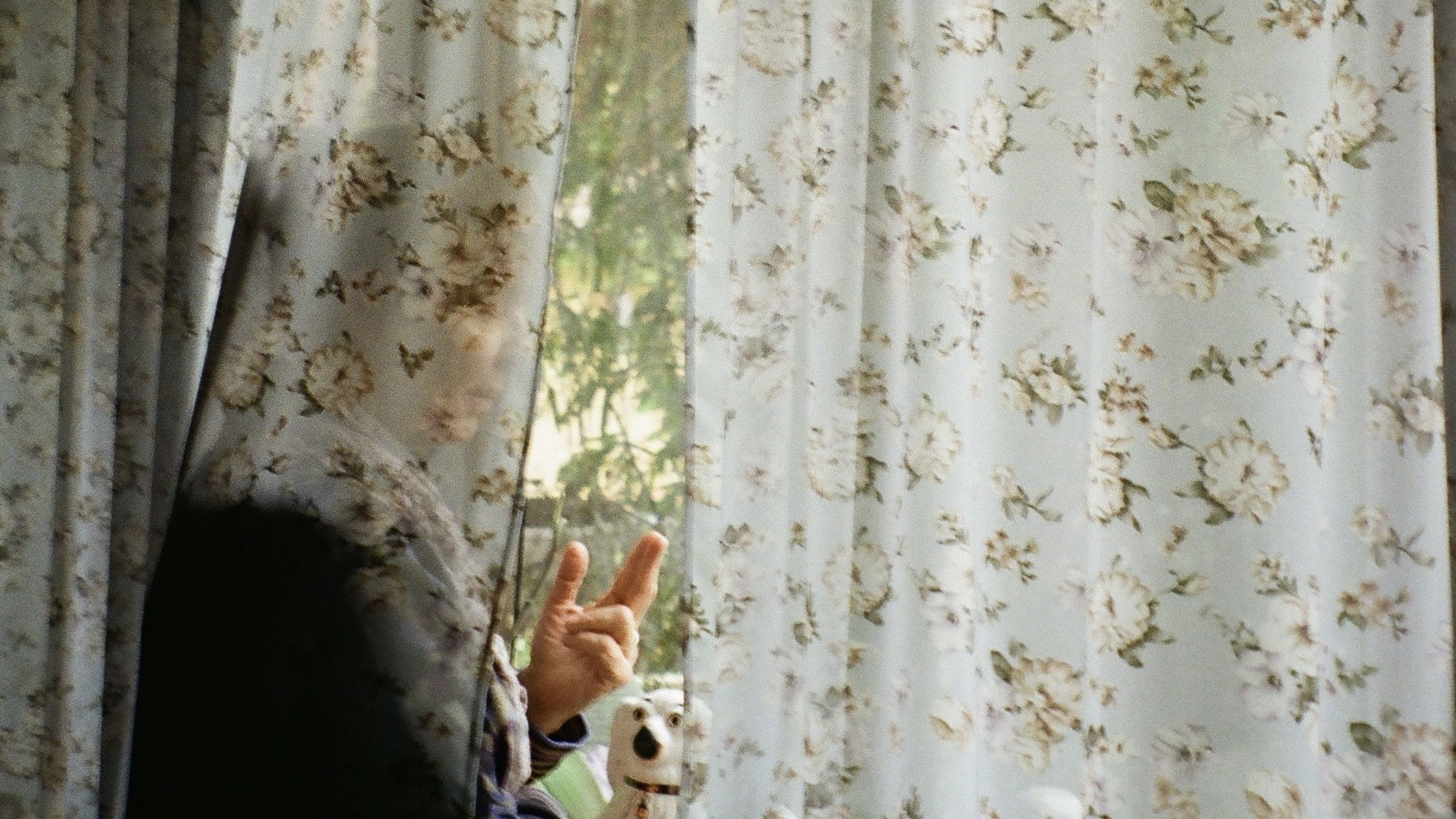 Backdrop for Wind Beneath the Wings