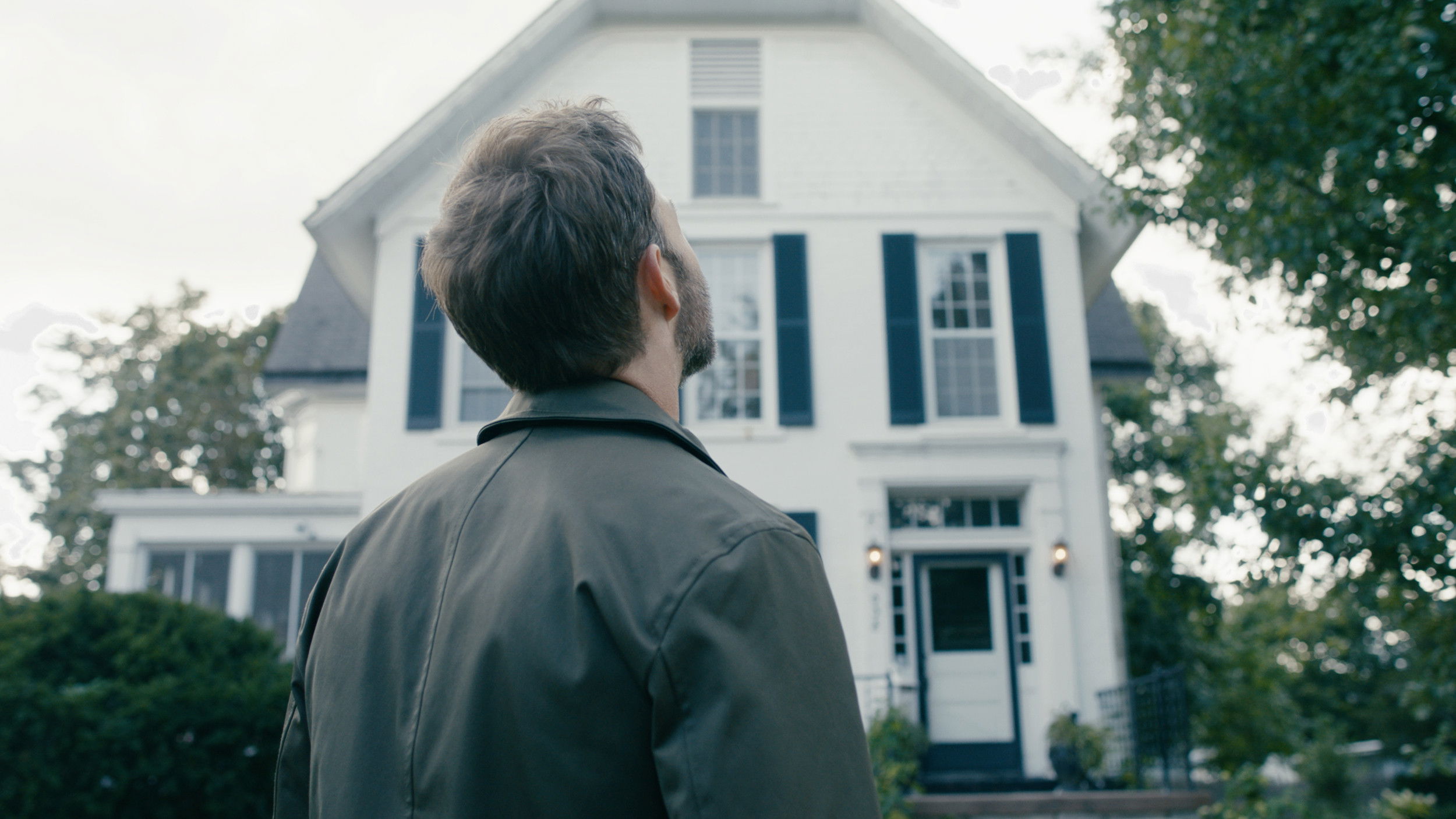 Backdrop for All the Flowers That Cut Through the Earth