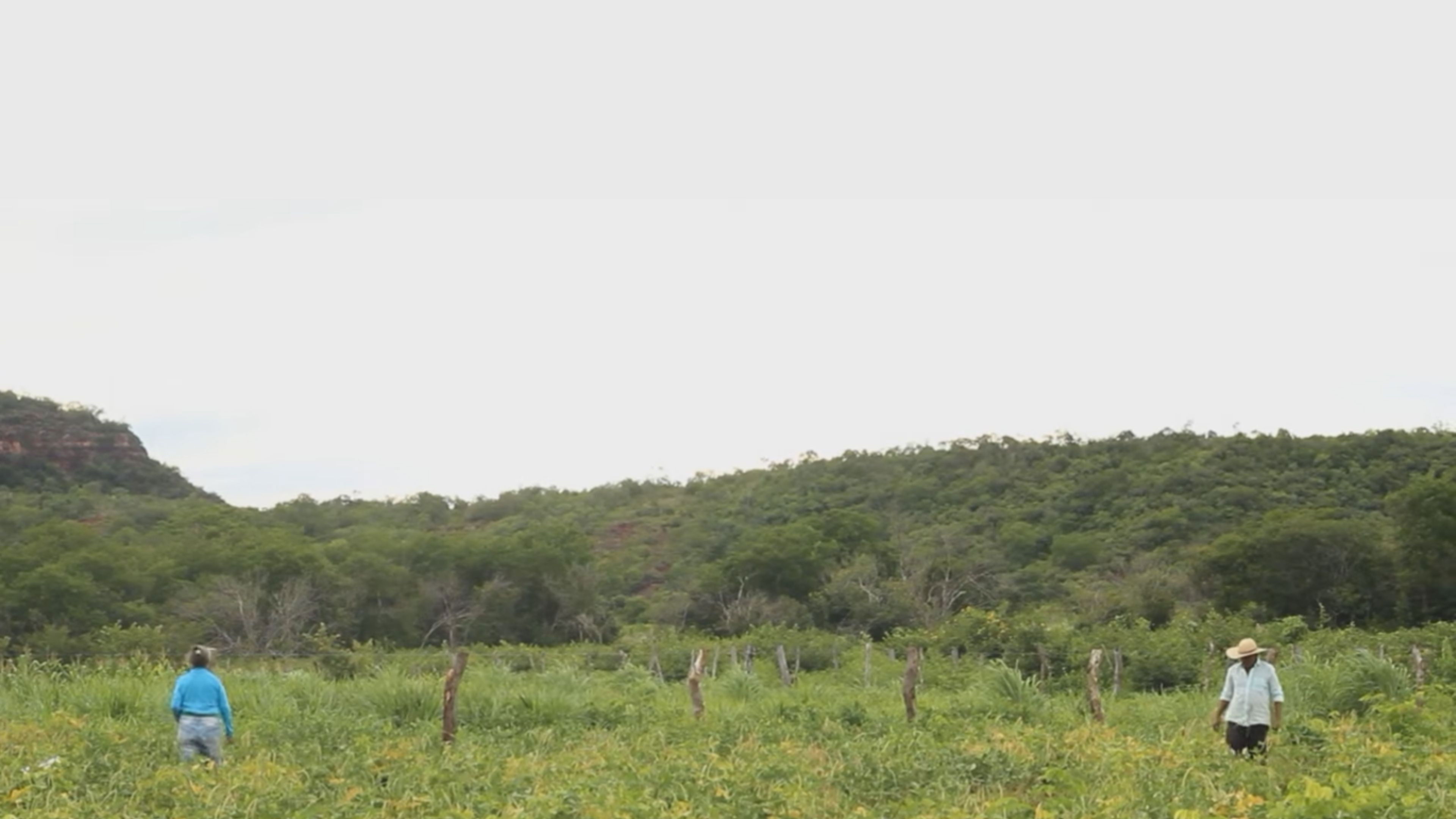 Backdrop for Antonico: Por Onde Andam os Migrantes Nordestinos?