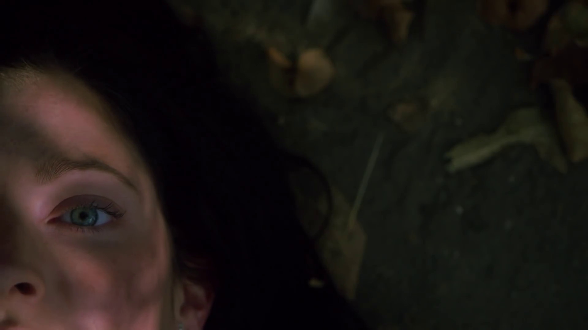 Backdrop for Twinsanity