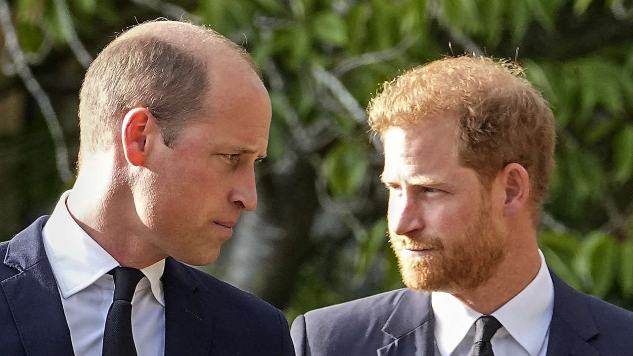 Backdrop for Harry vs. William: Der royale Bruderzwist