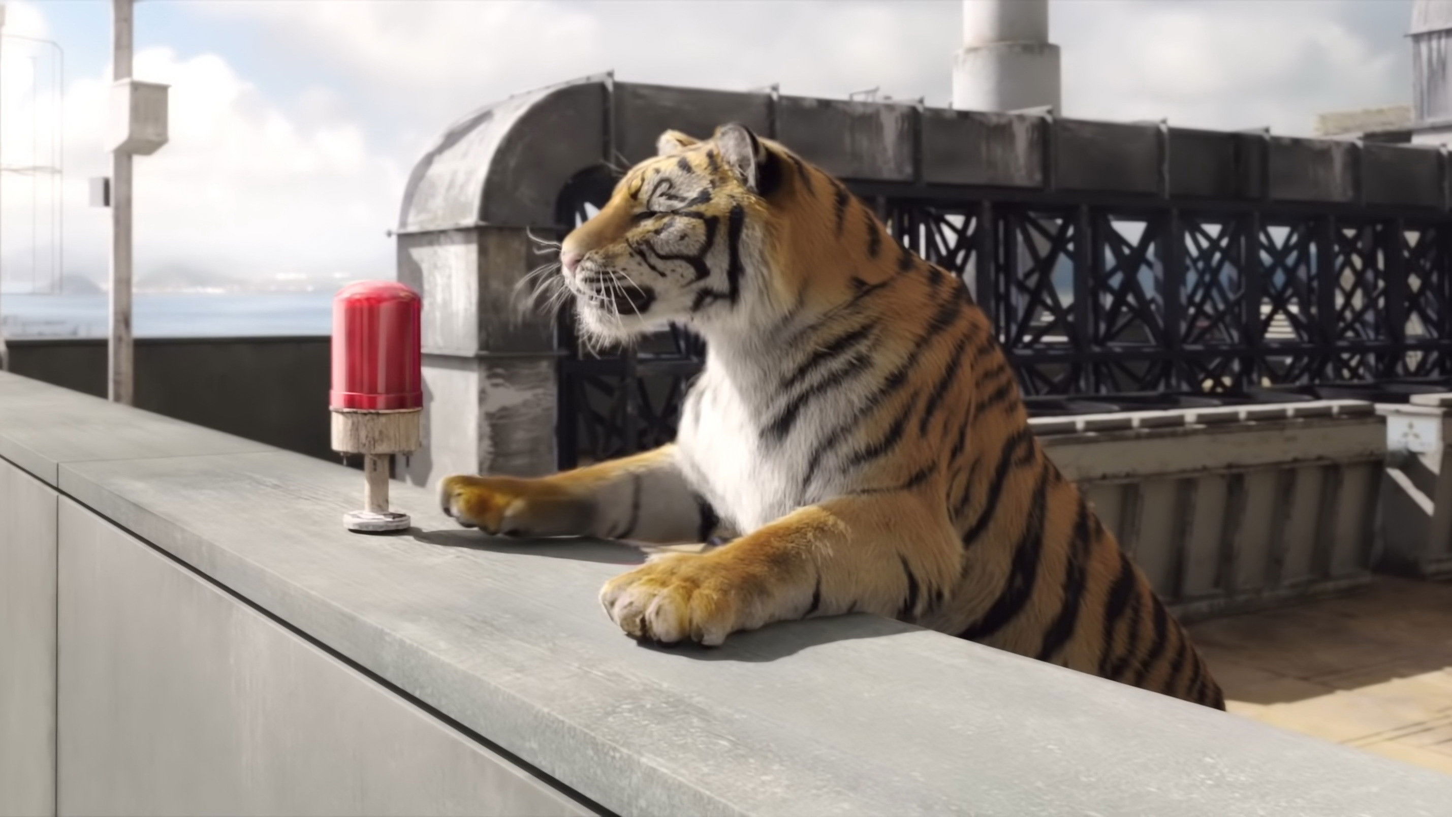 Backdrop for Tiger Robbers