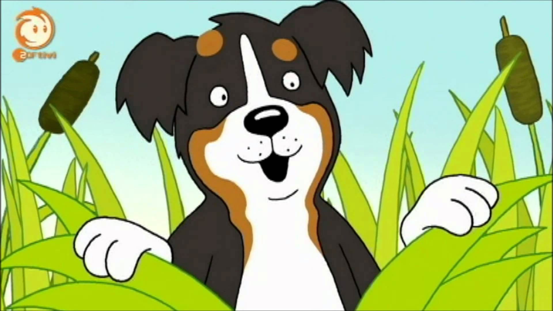 Backdrop for Löwenzähnchen