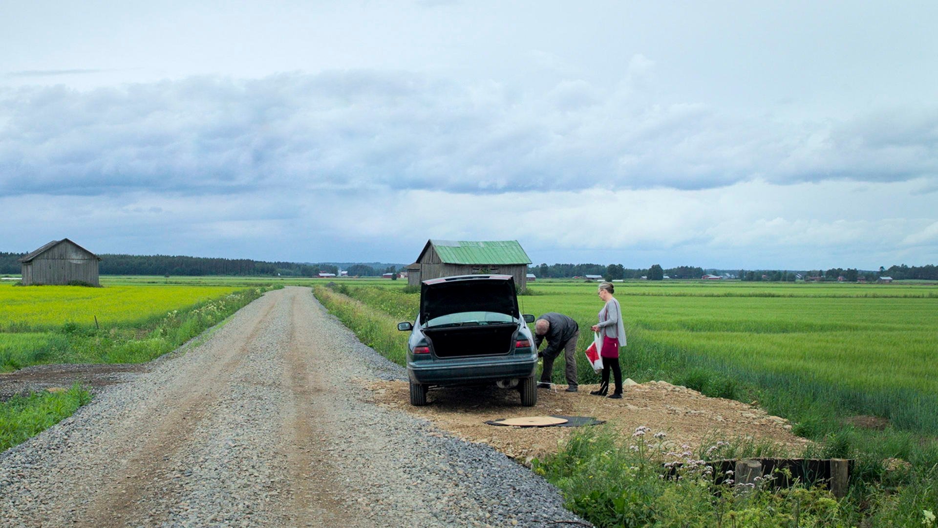 Backdrop for A People’s Radio – Ballads from a Wooded Country