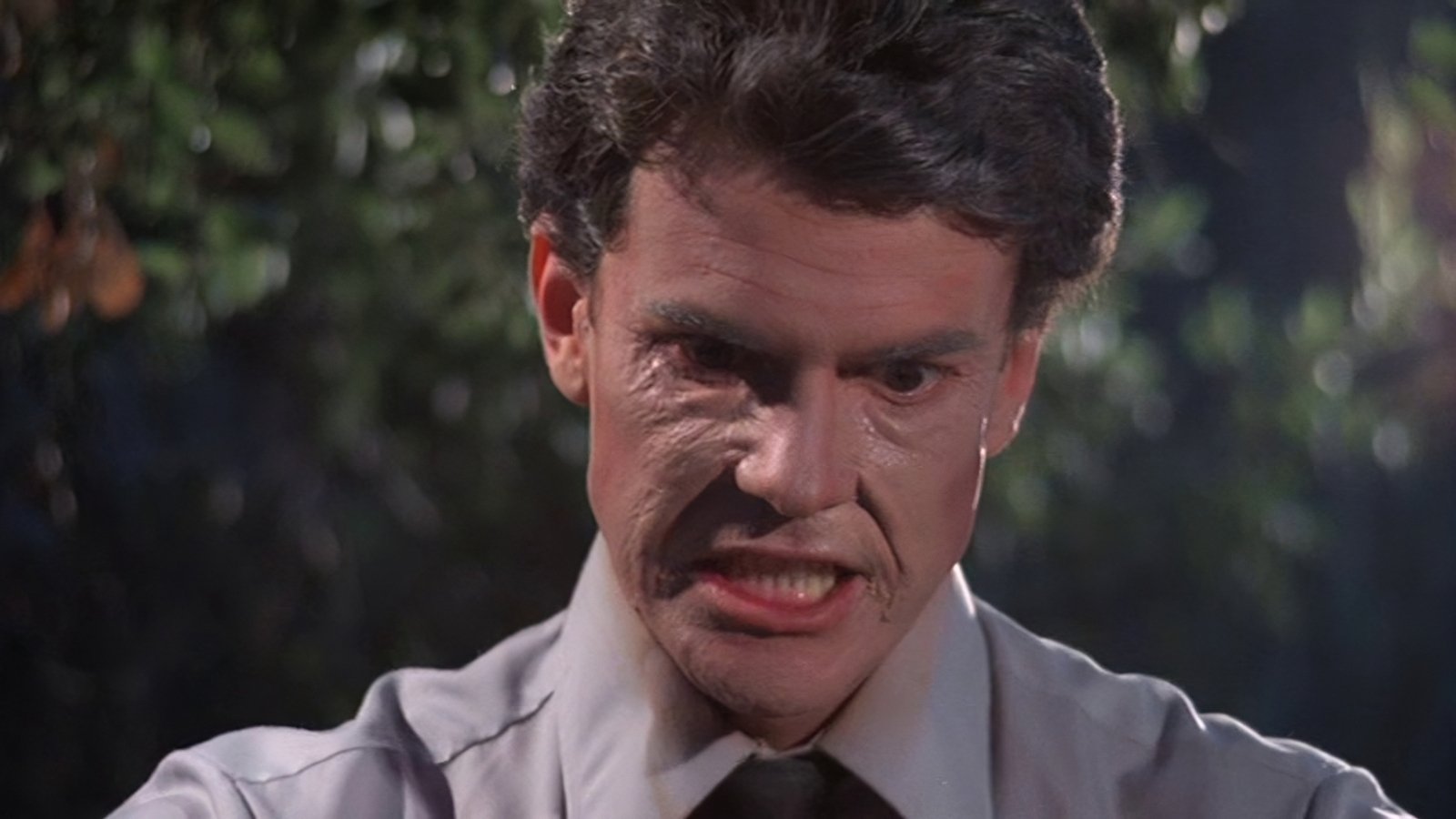 Backdrop for Don't Go Near the Park