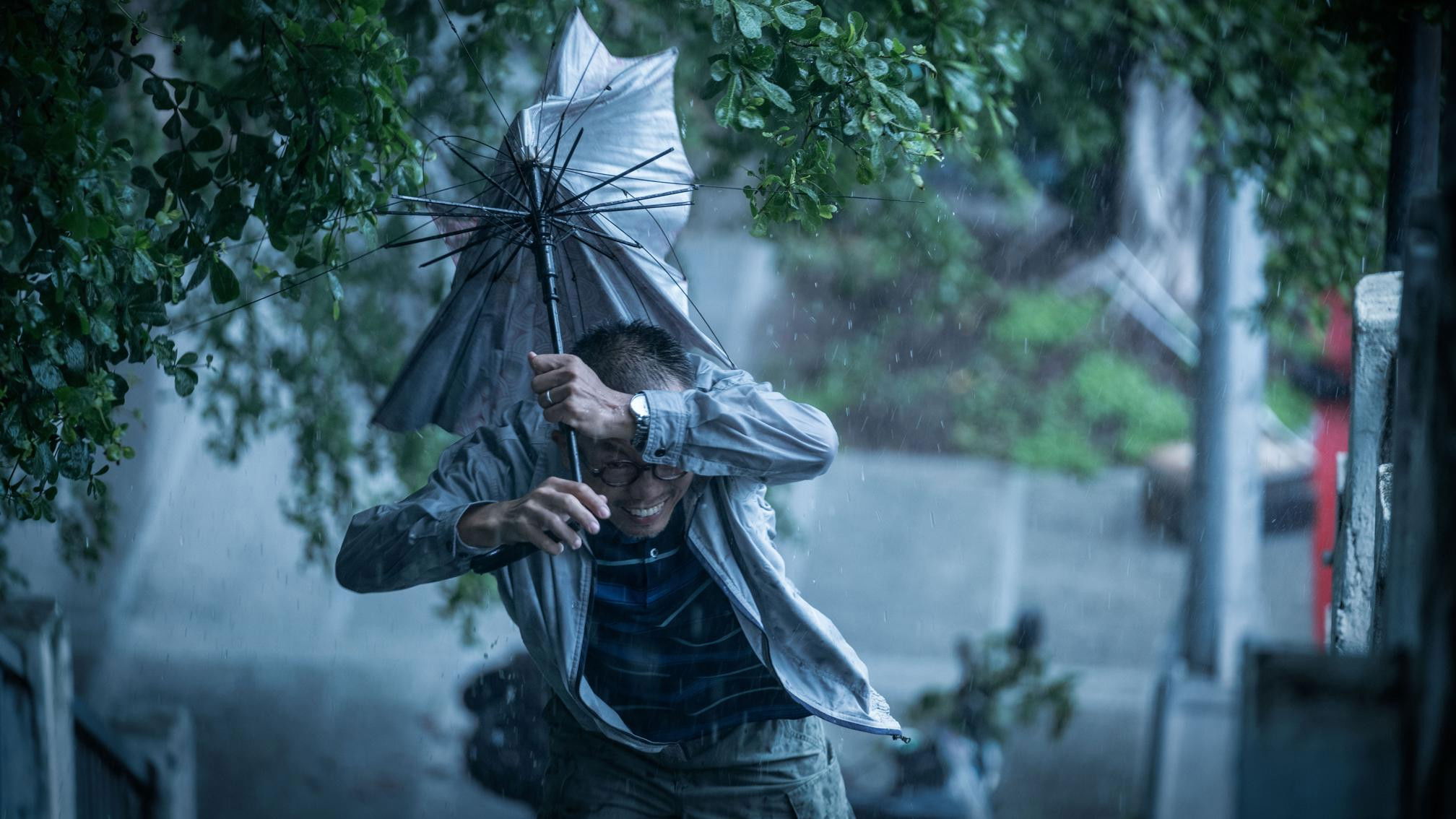 Backdrop for Good Day