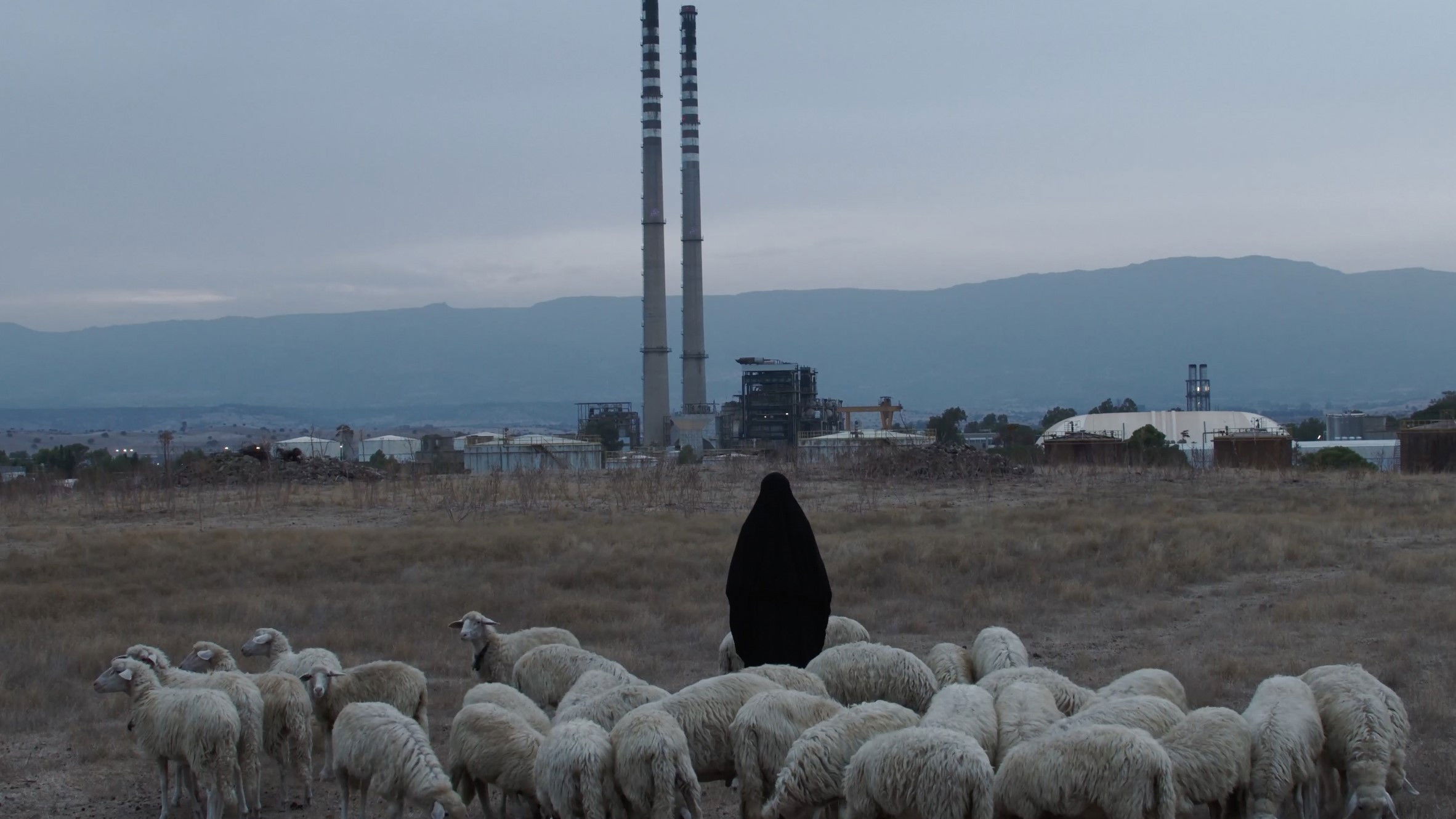 Backdrop for Anime Galleggianti