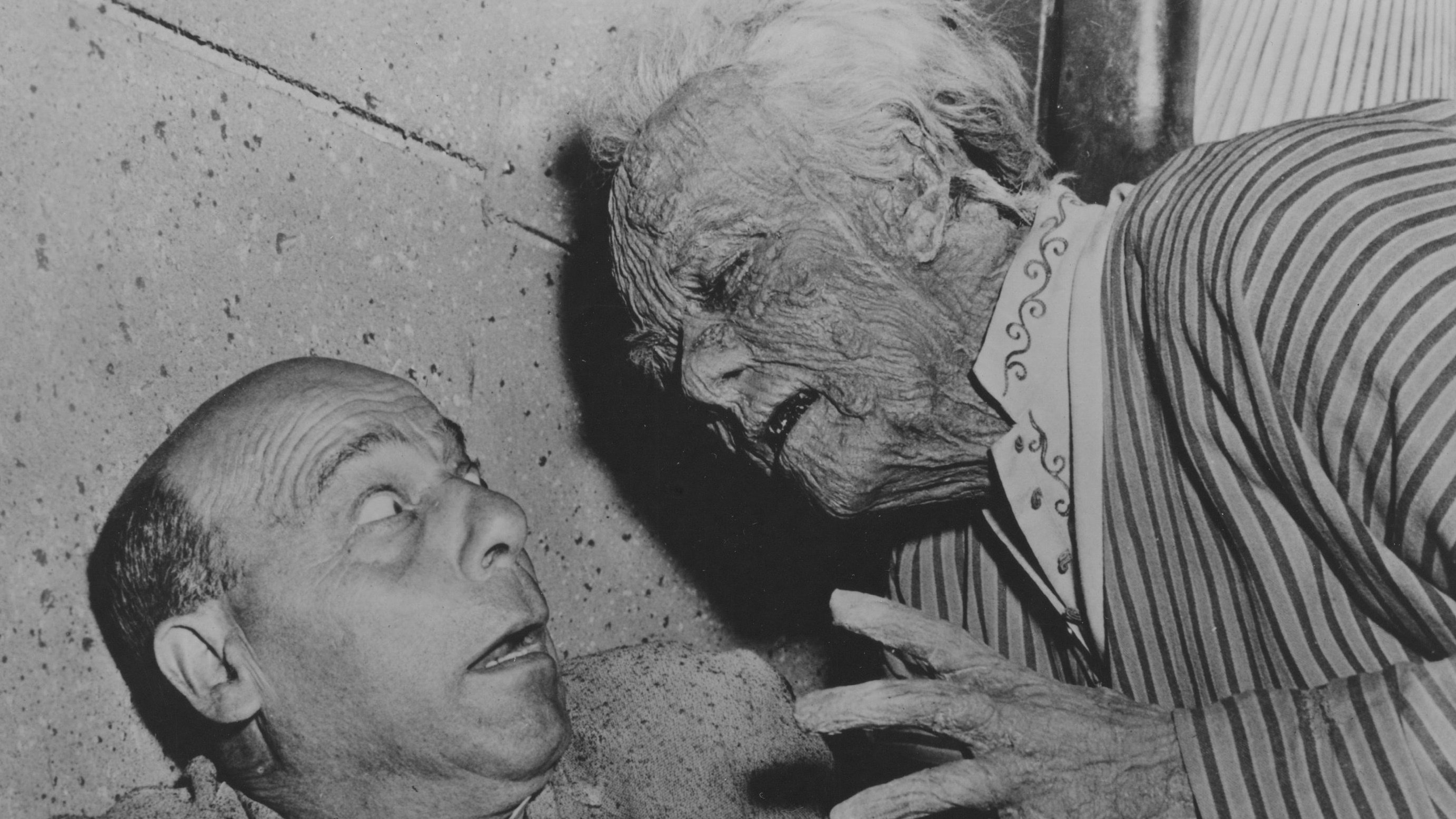 Backdrop for Pharaoh's Curse