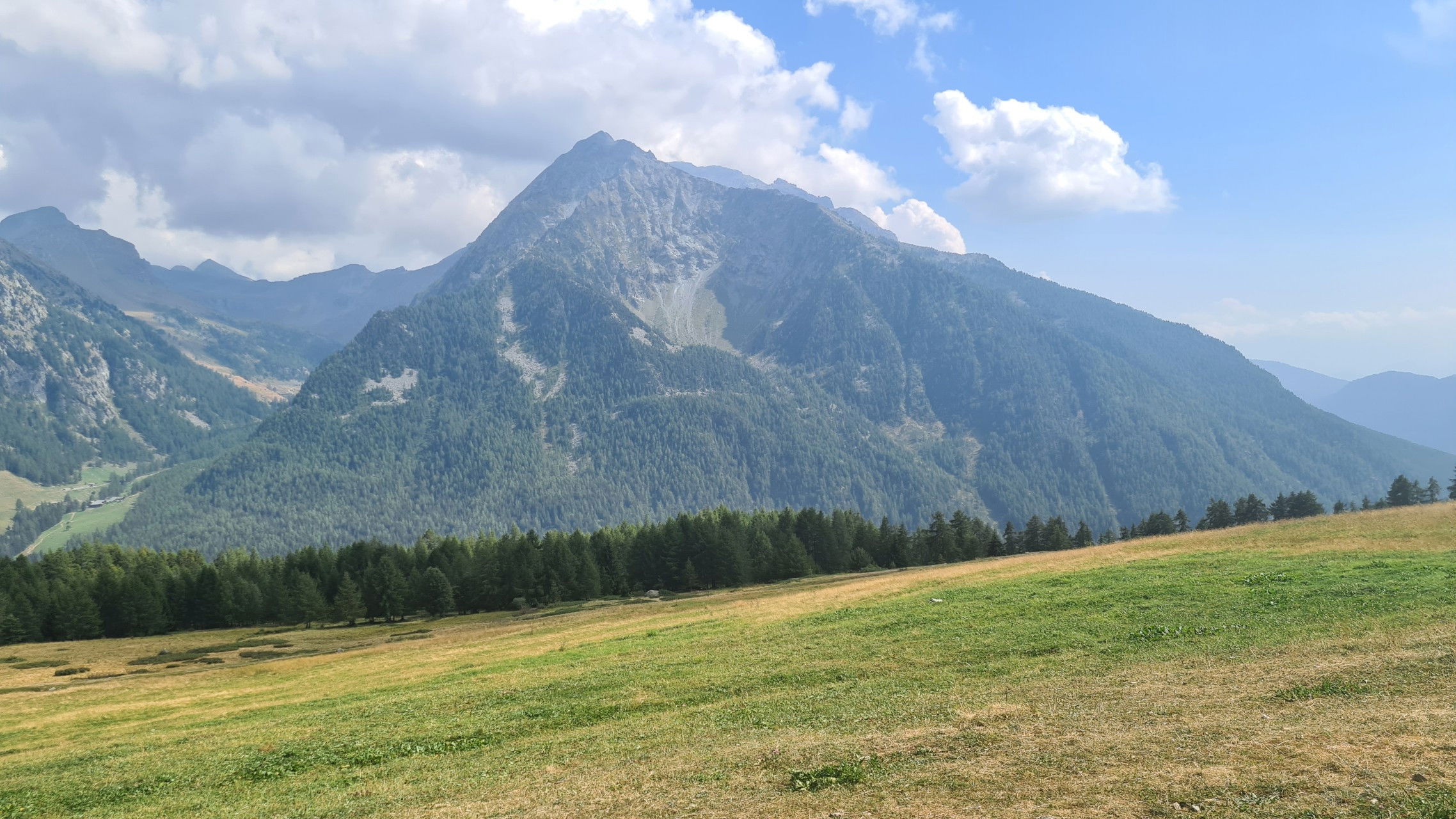 Backdrop for La Stella Del Parco