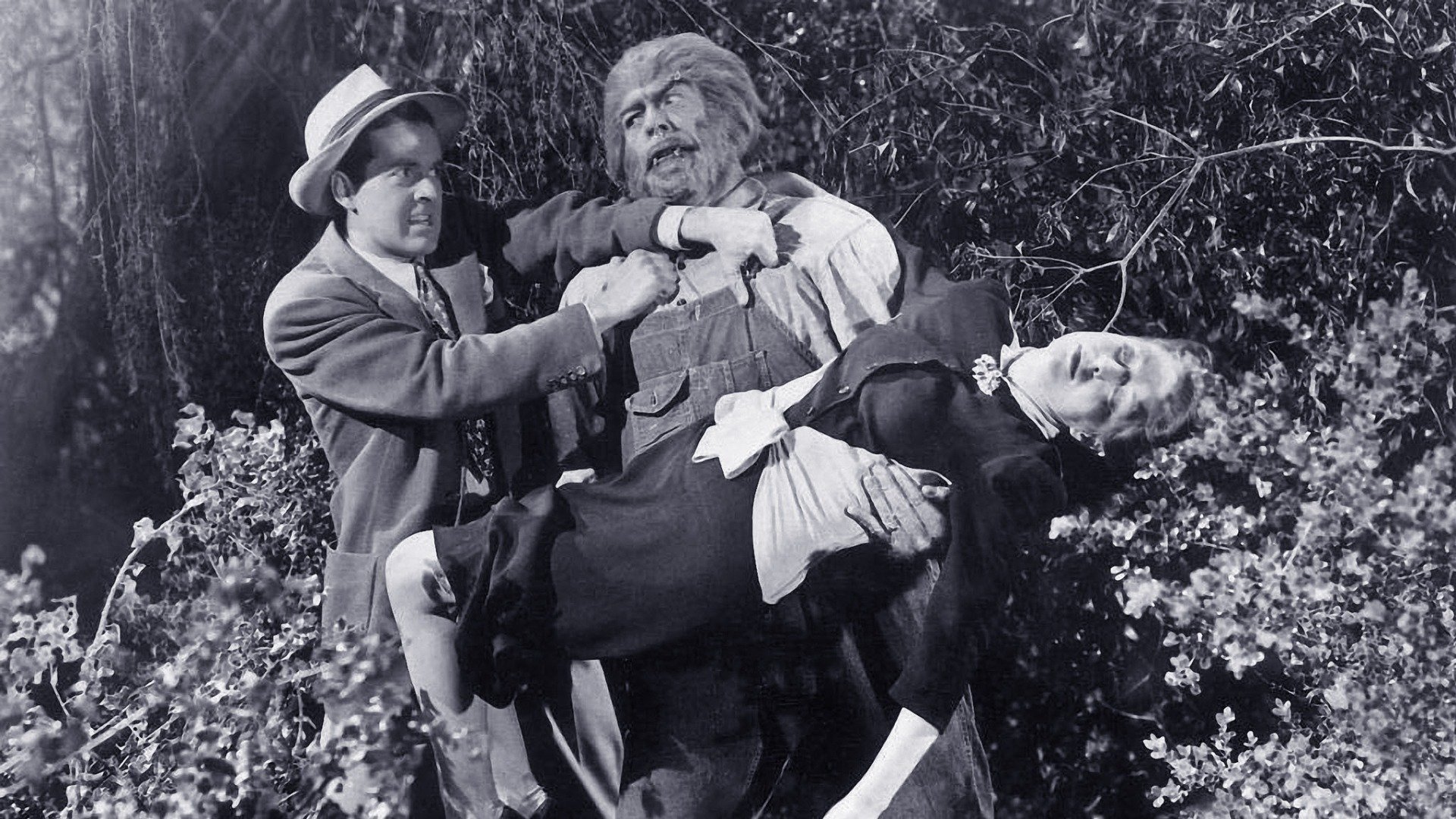 Backdrop for The Mad Monster