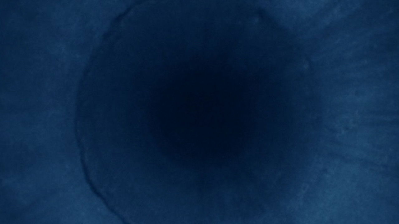 Backdrop for Malice in Wonderland