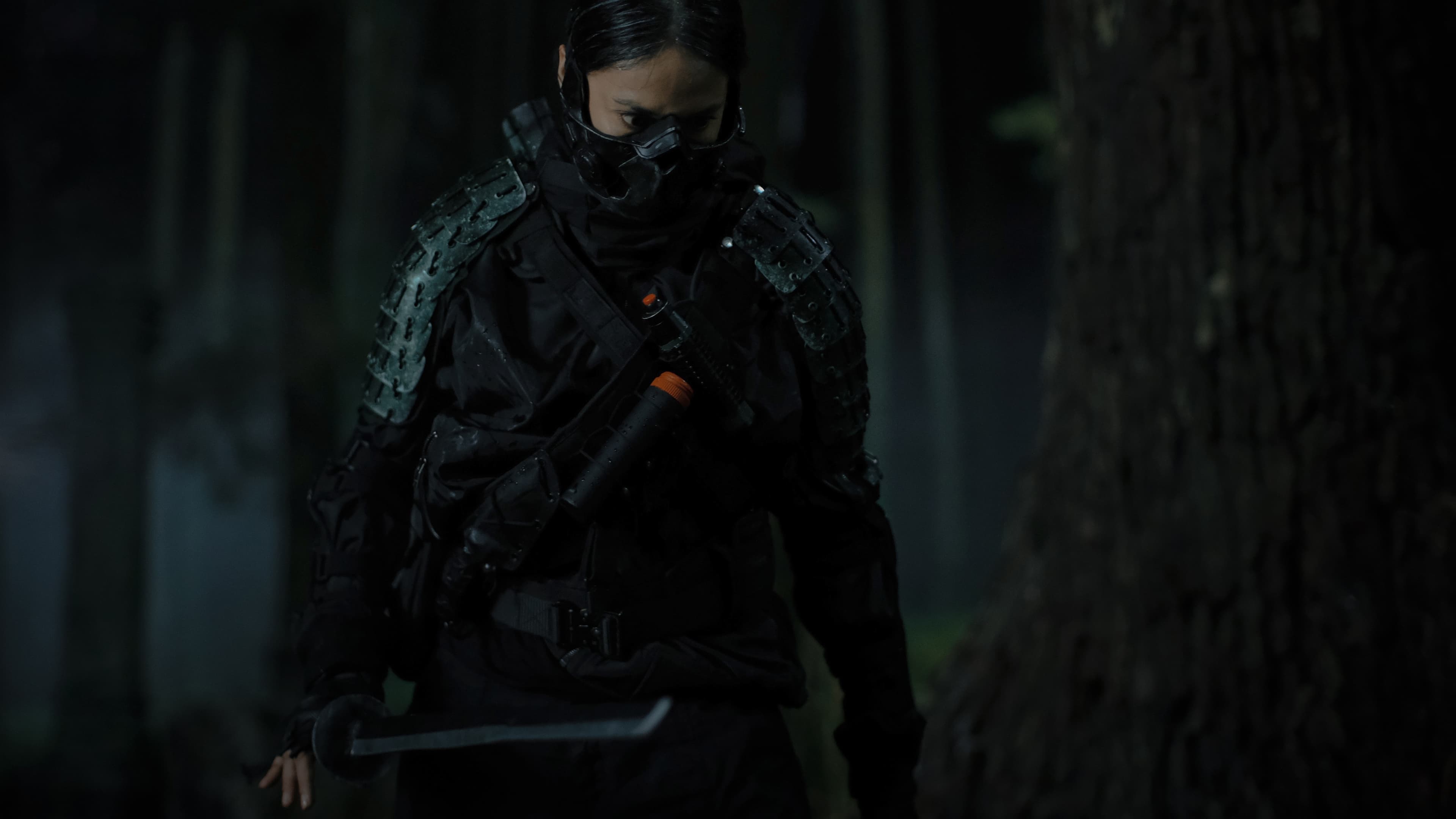 Backdrop for The Shadow Strays