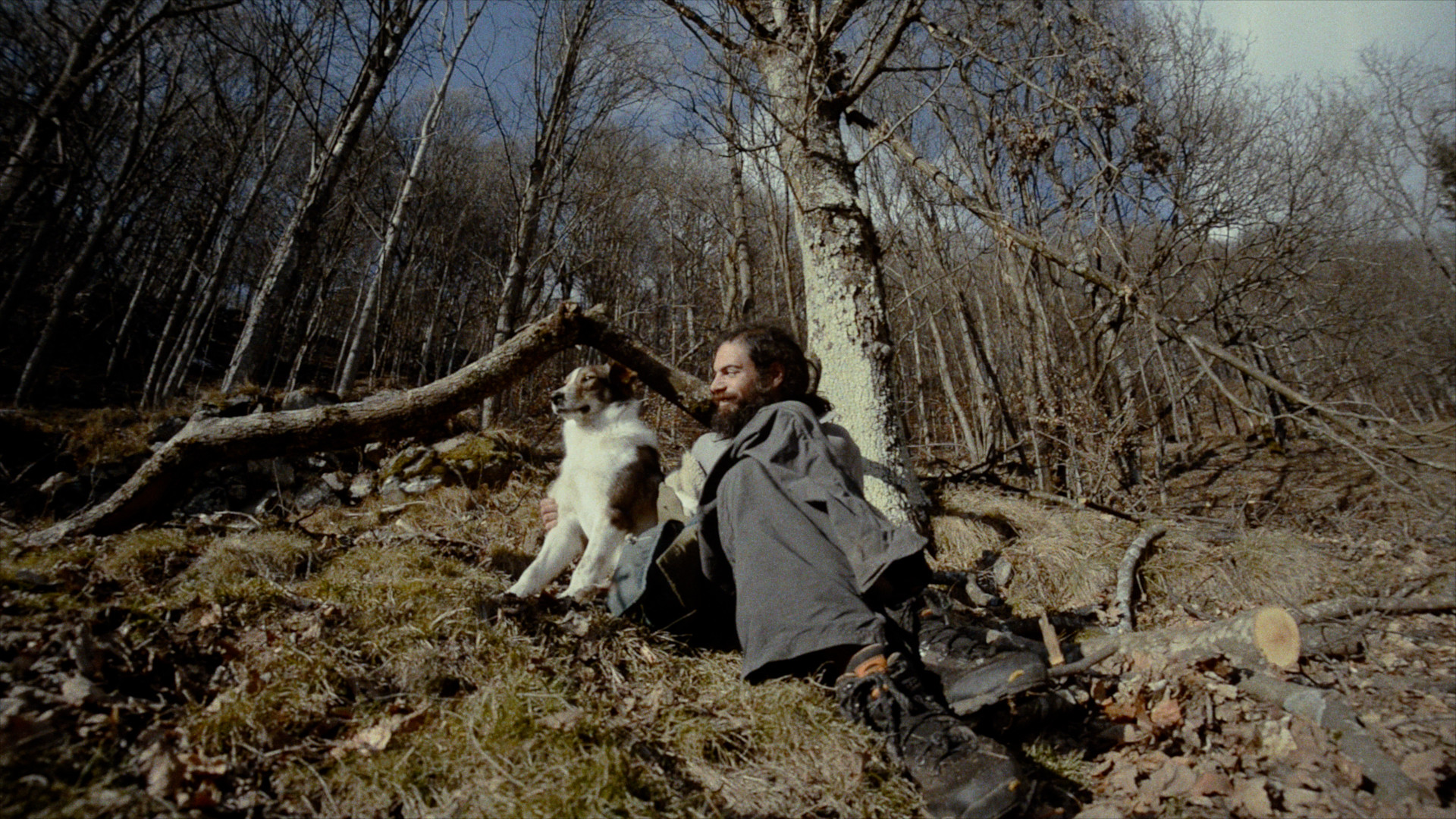 Backdrop for Homo Humilis