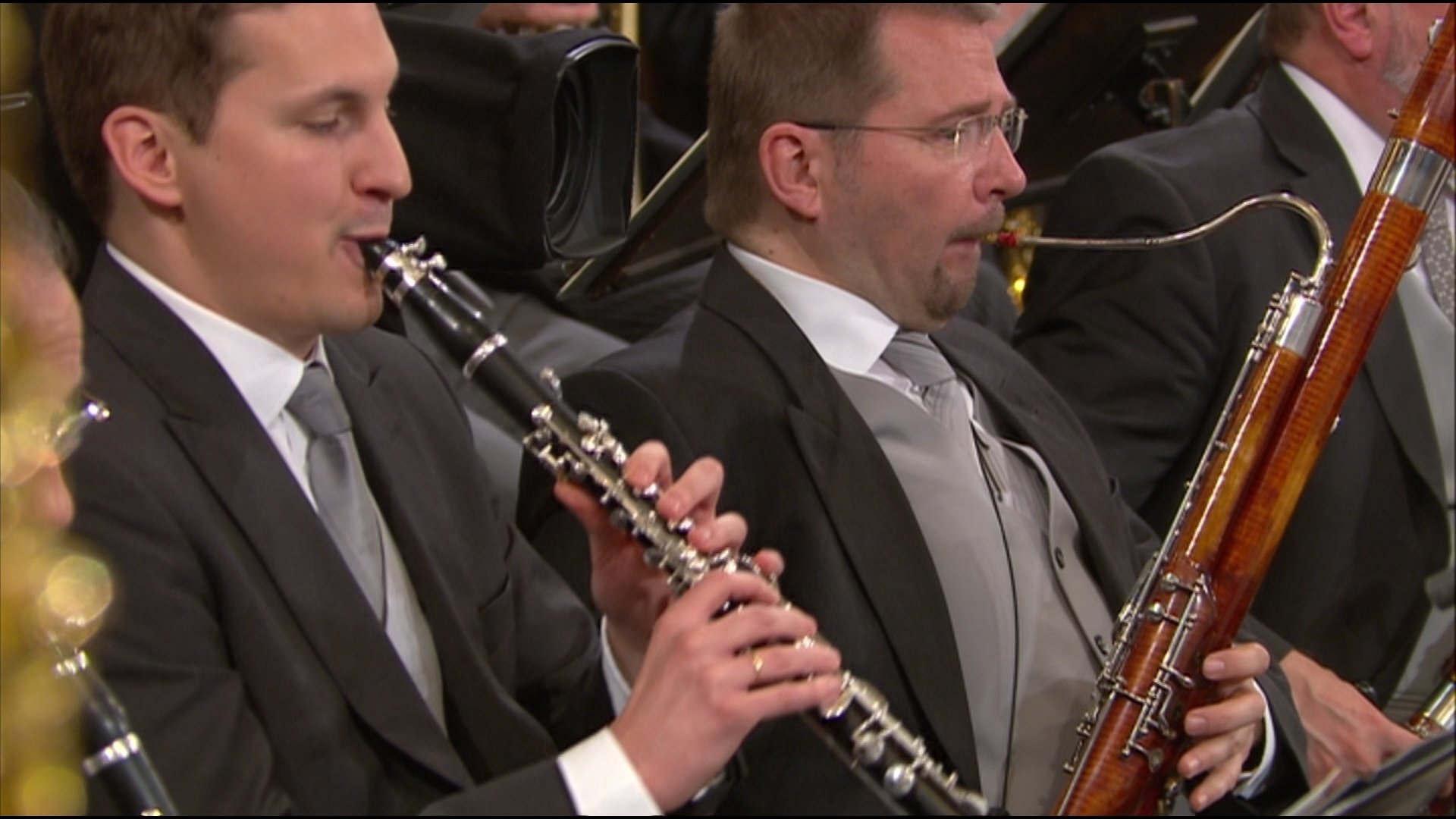 Backdrop for Neujahrskonzert der Wiener Philharmoniker 2015