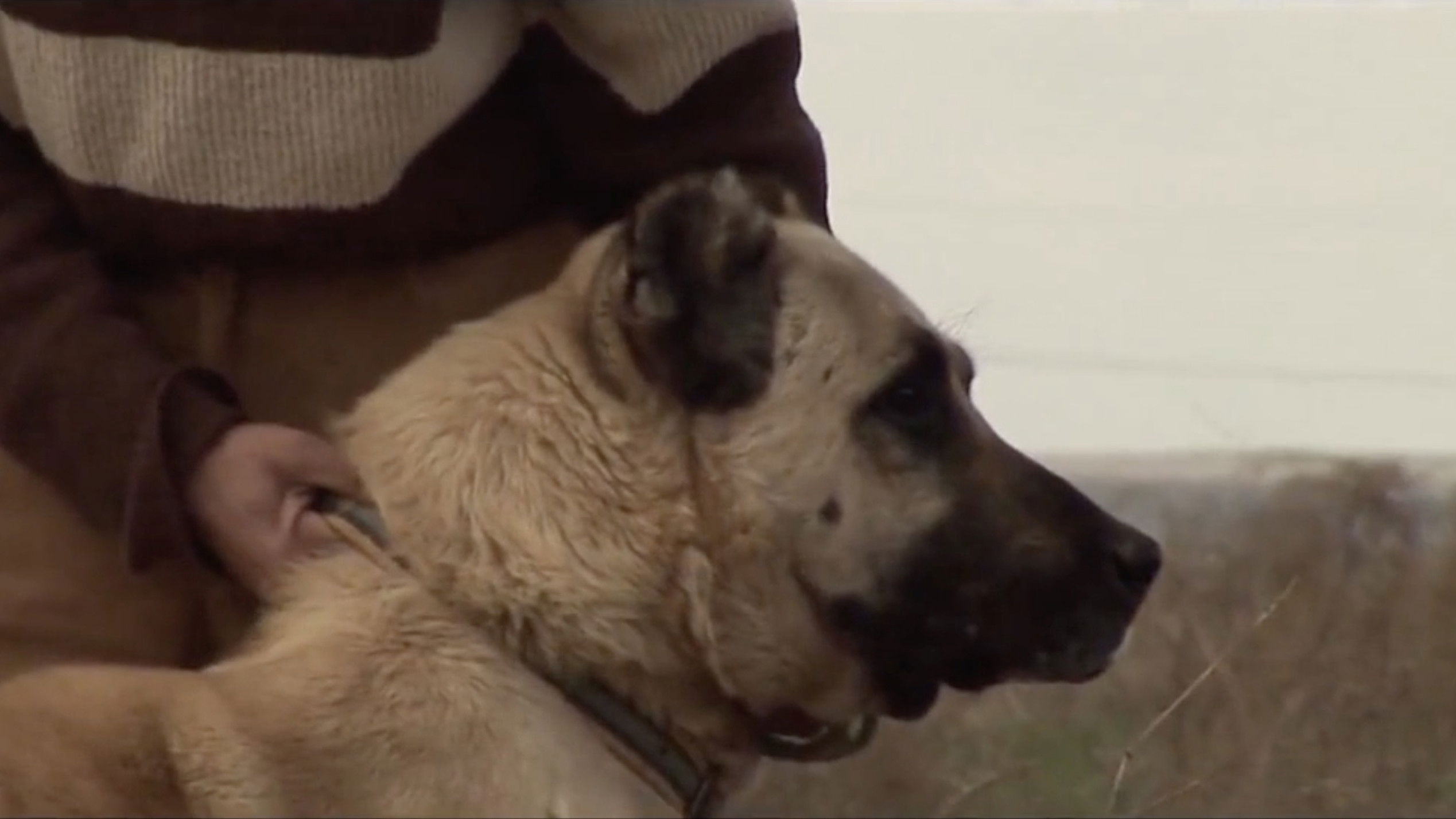 Backdrop for Fathers and Sons