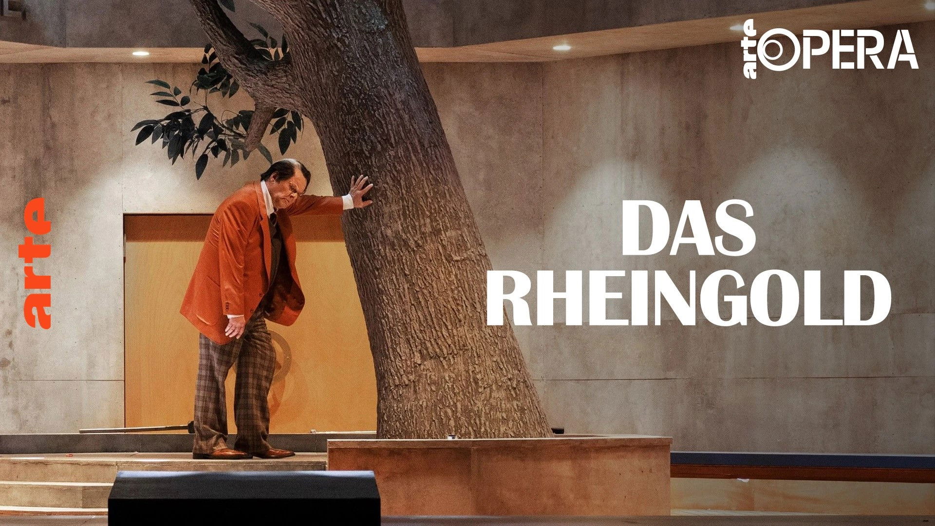 Backdrop for Richard Wagner: Das Rheingold - Aus der Staatsoper Unter den Linden, Berlin