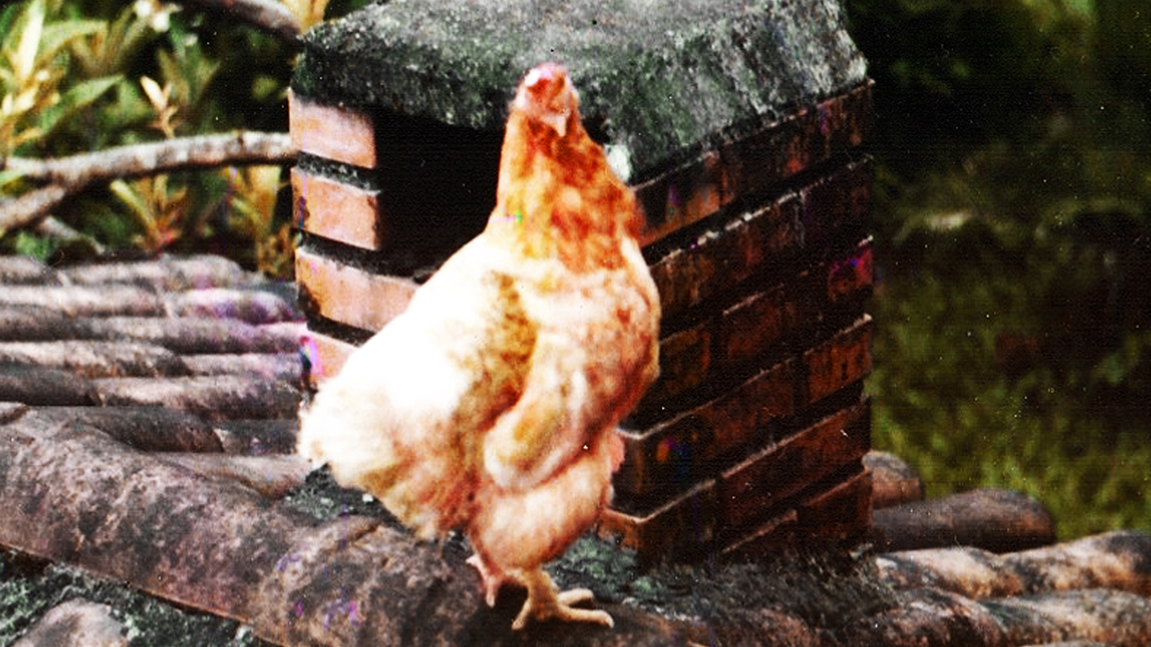 Backdrop for Poluição dos Mares & Oceanos