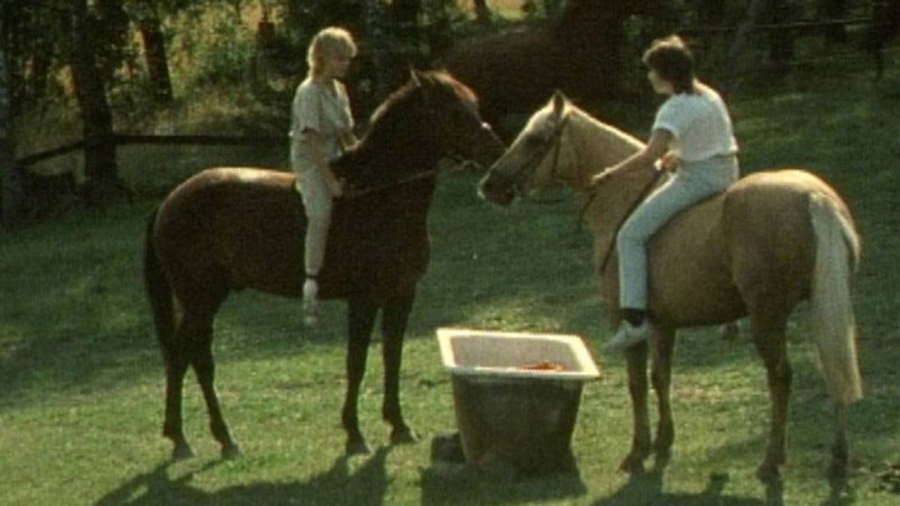 Backdrop for Den tredje lyckan