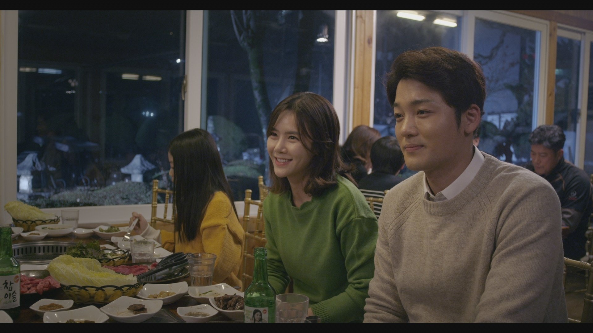 Backdrop for Biting Fly