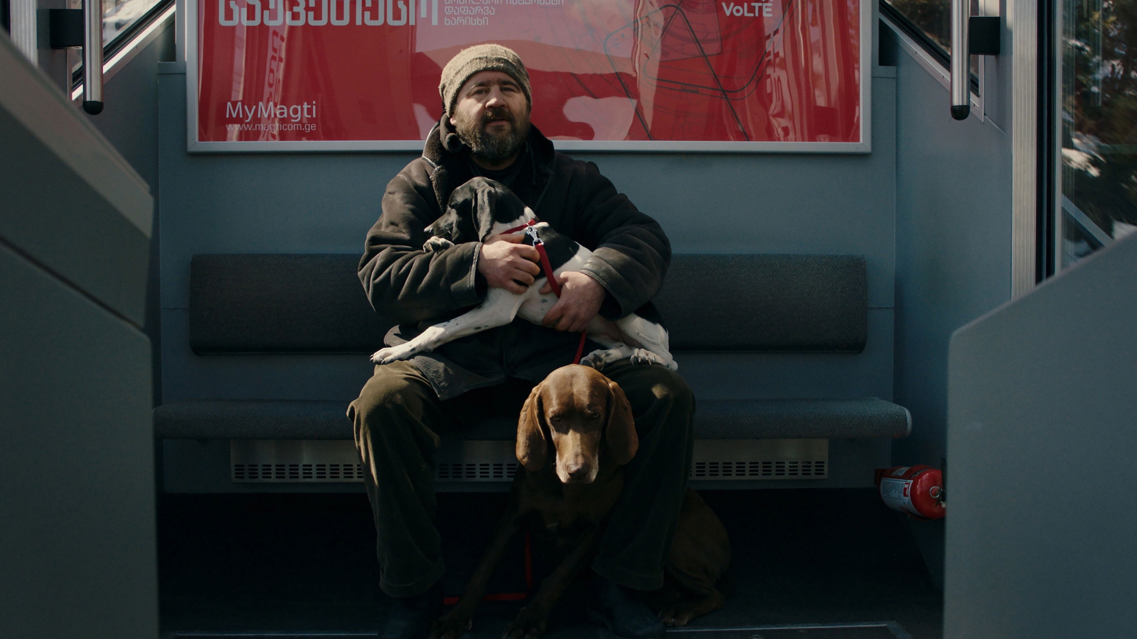 Backdrop for Snowflakes in my Yard