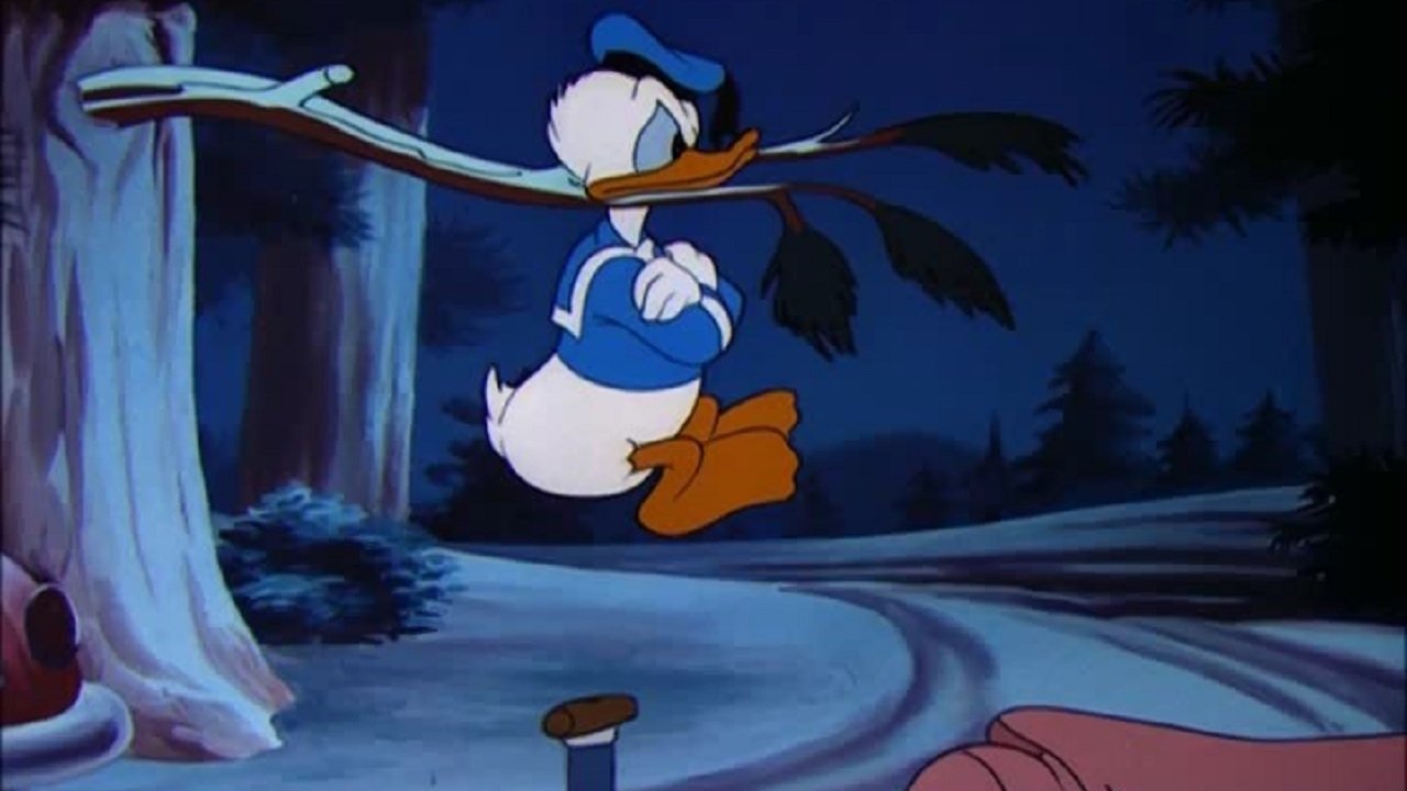 Backdrop for Wide Open Spaces